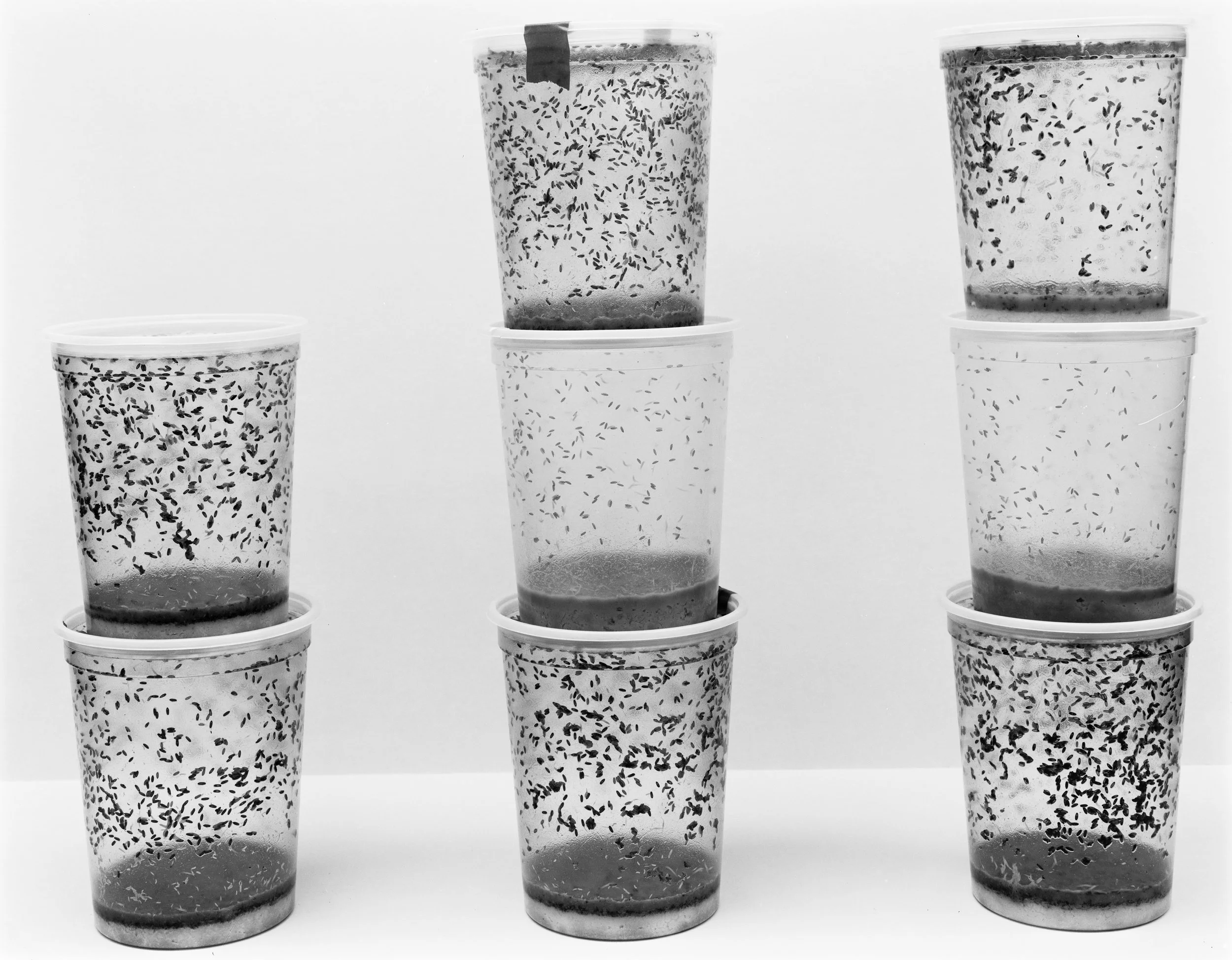 Art & Science: Investigating Matter