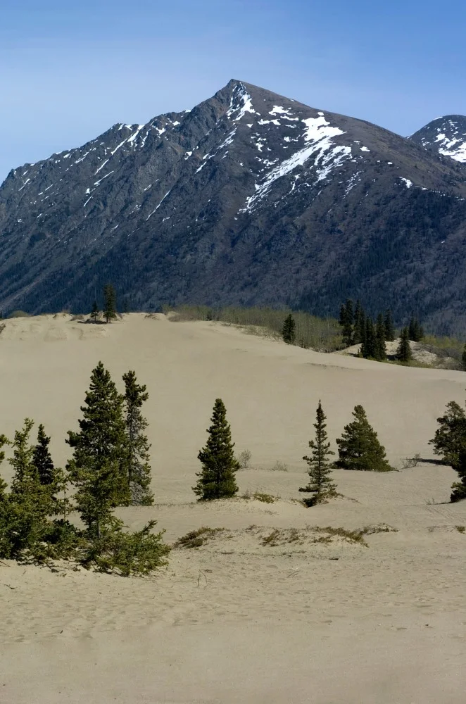 045 carcross desert.JPG