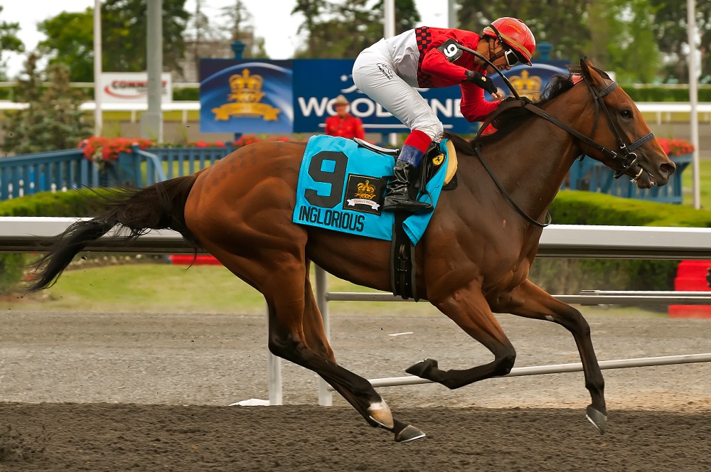 000.3 queens plate 2011.JPG