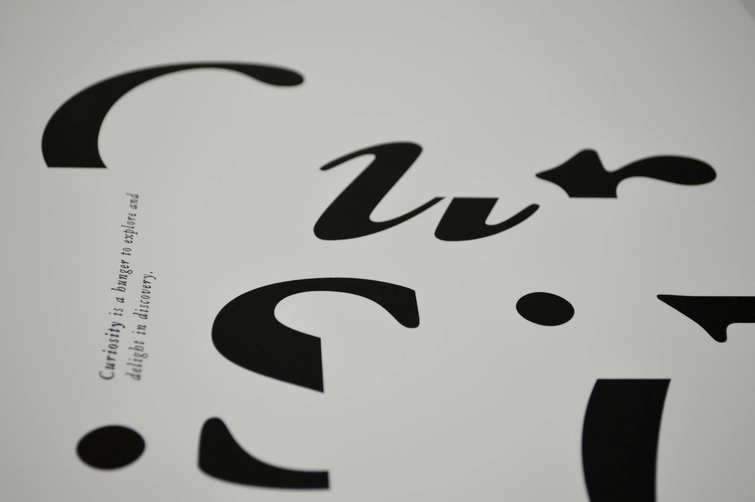 curiosity detail2_website.jpg