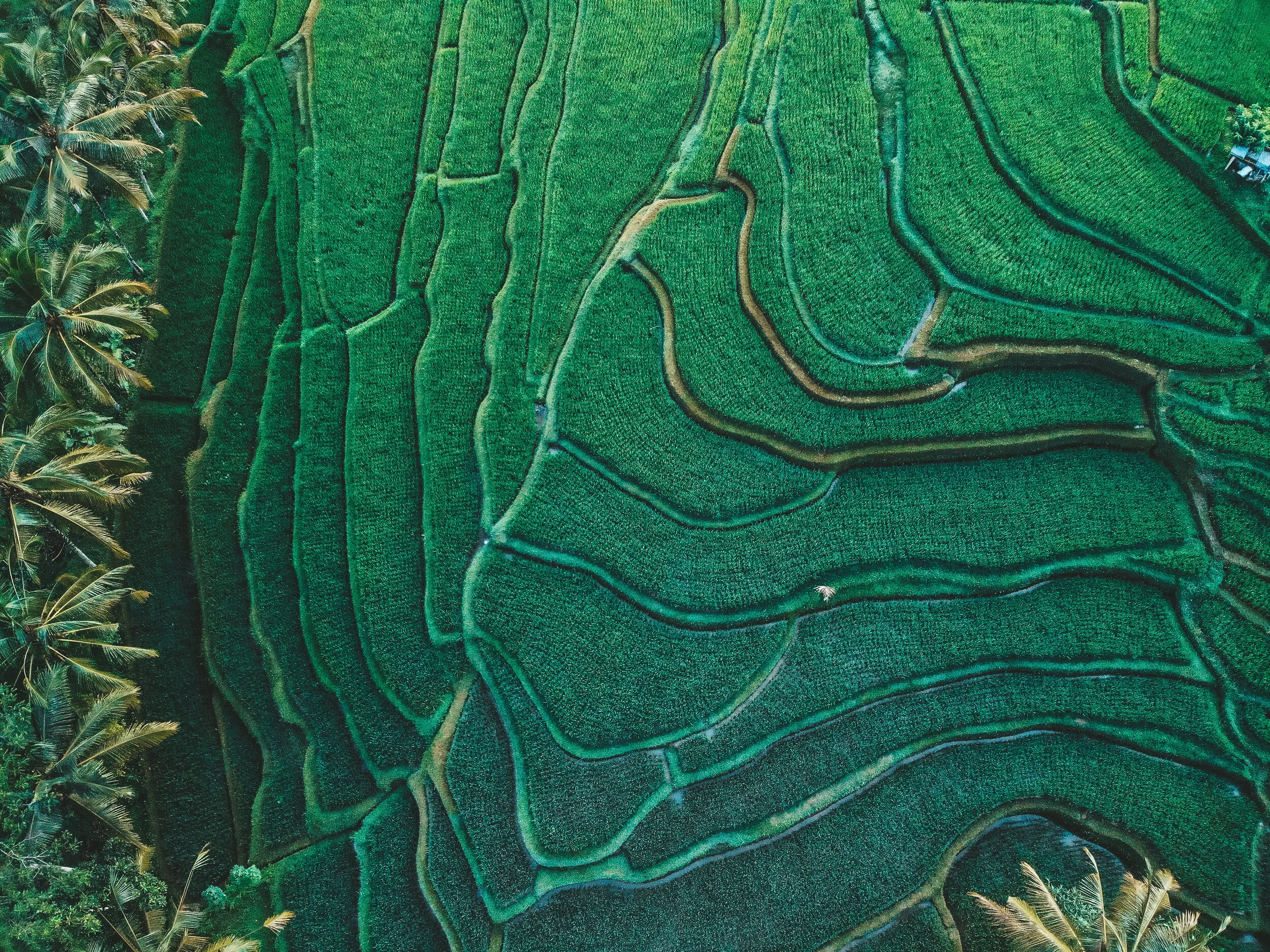 DJI_0697.jpg