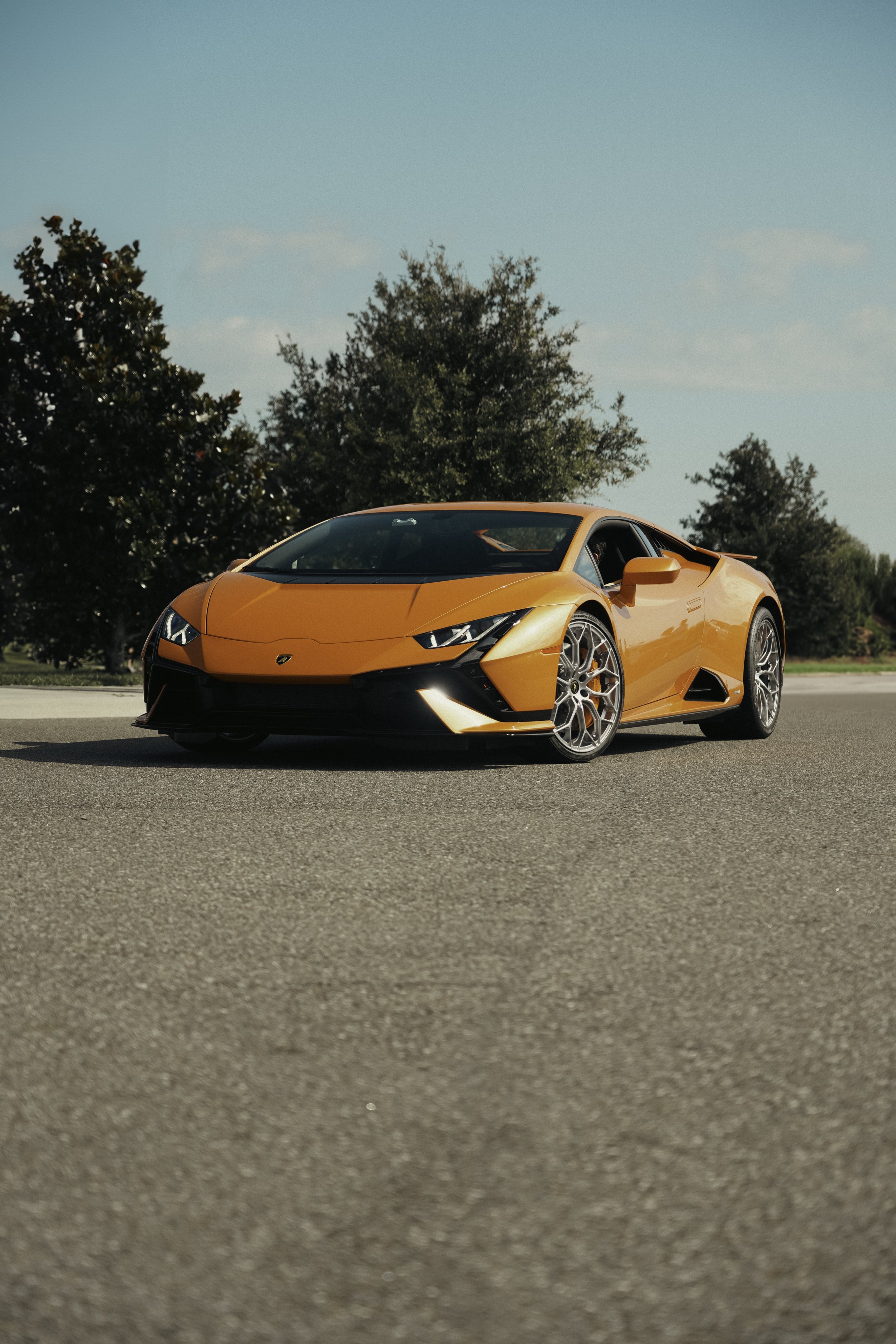 LAMBO_1.jpg