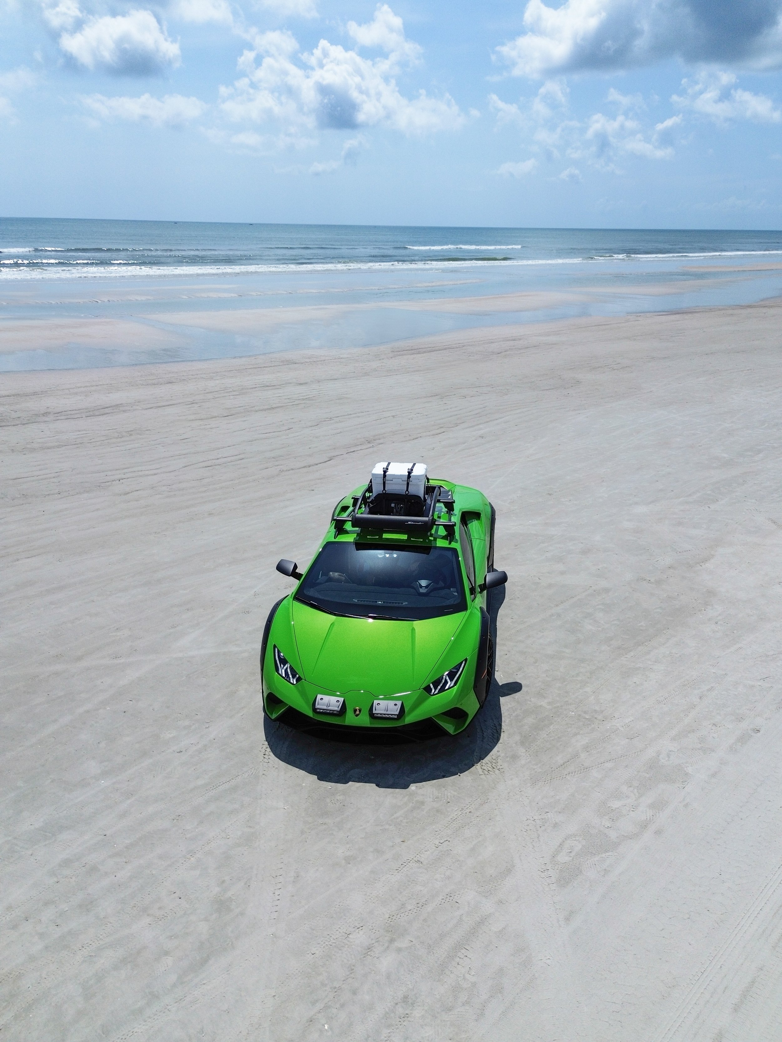 GREEN_BULL-75.jpg
