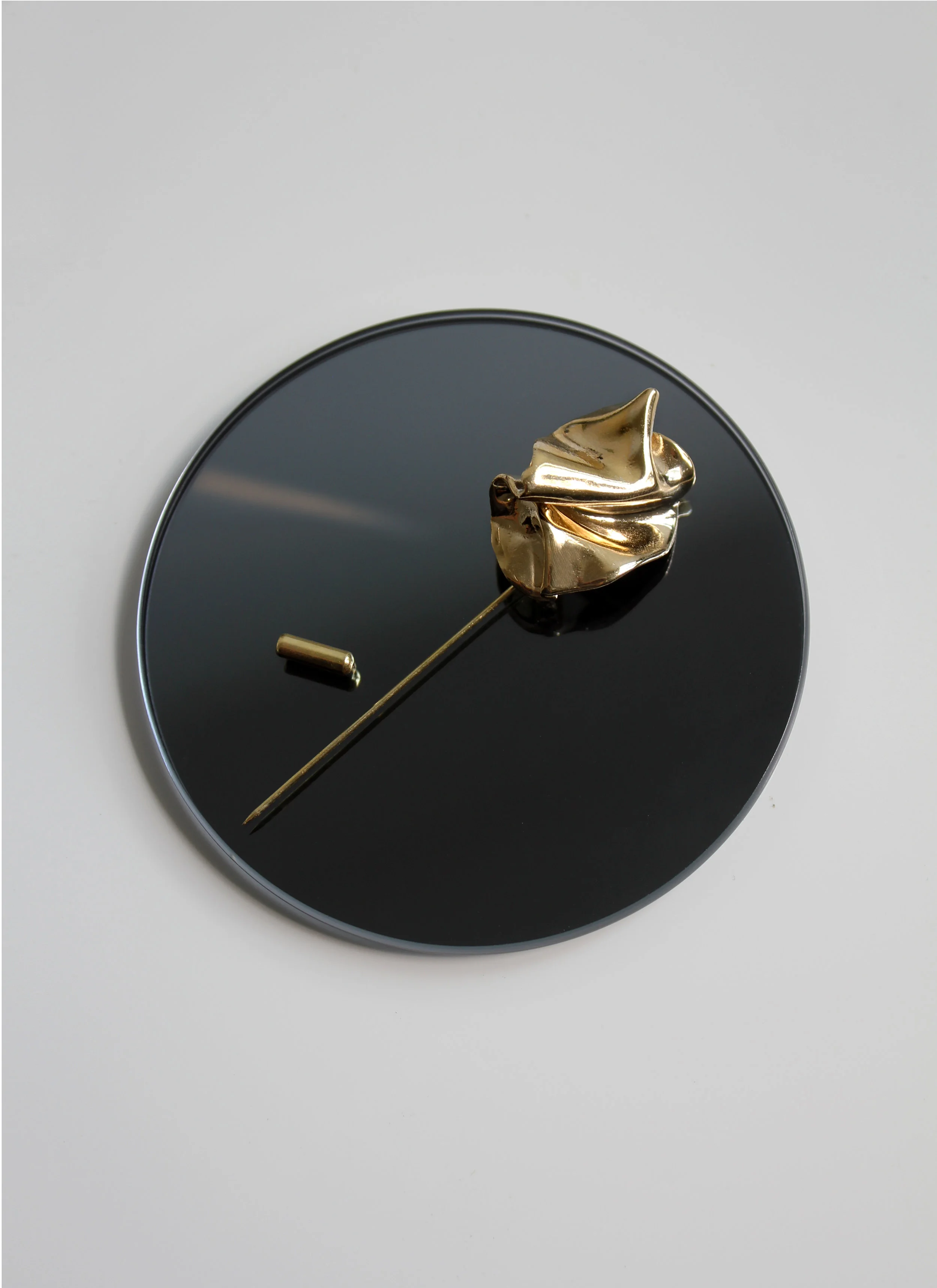 brooch still.jpg