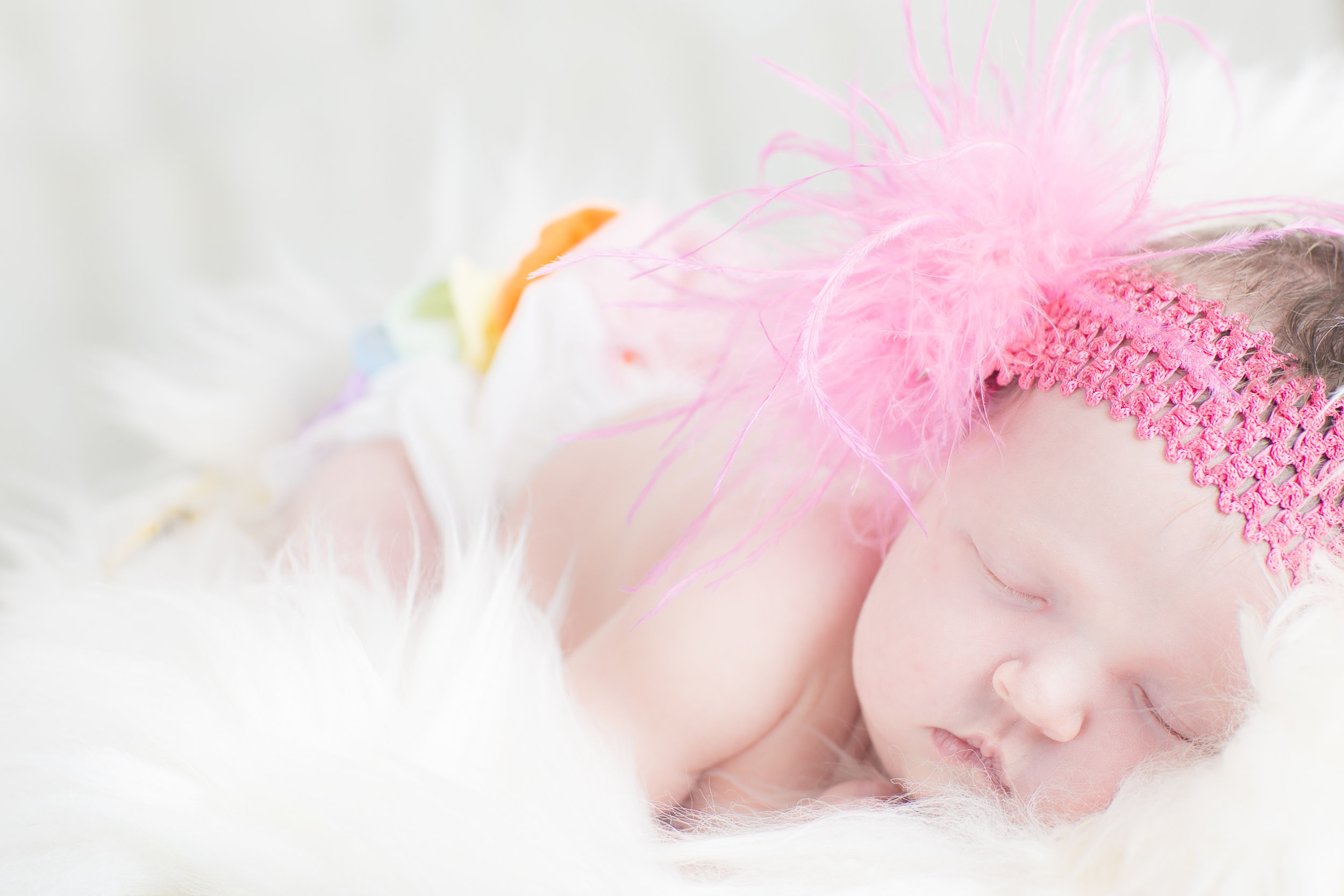 07 newborn girl rainbow pink feather headband fur rug basket studio photography session 2.jpg