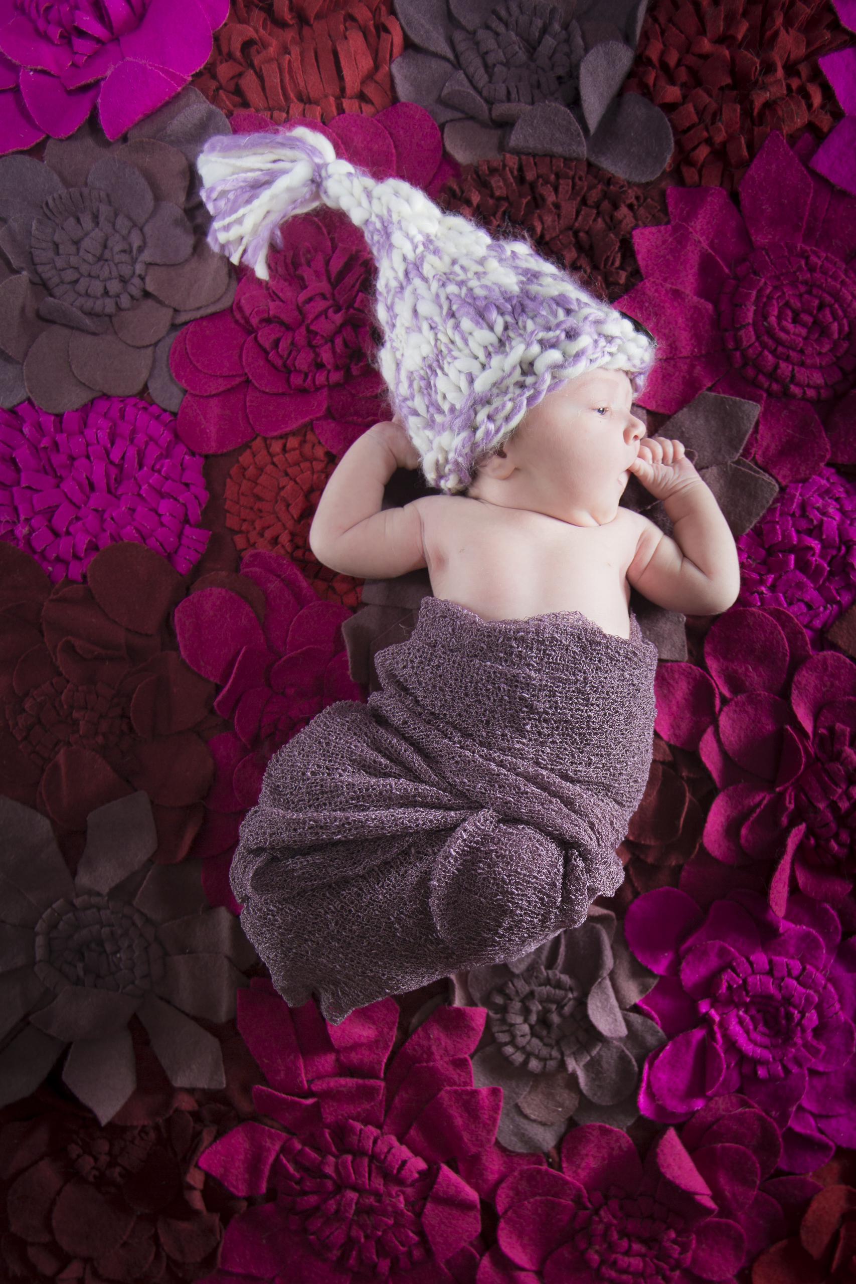 09 newborn girl purple swaddle knit hat flower felt rug studio photography session 2.jpg