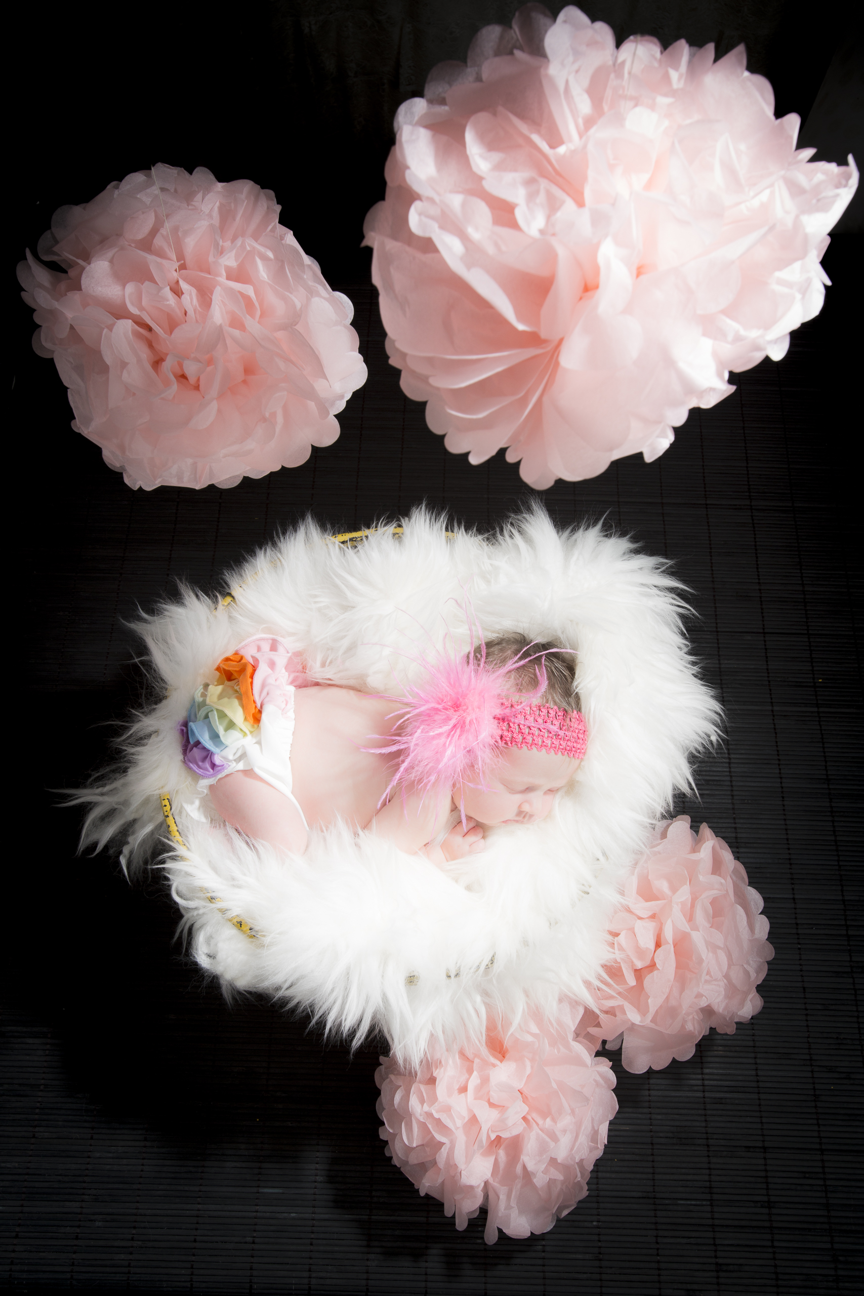 36 newborn girl rainbow pink feather headband fur rug basket pom poms studio photography session.jpg