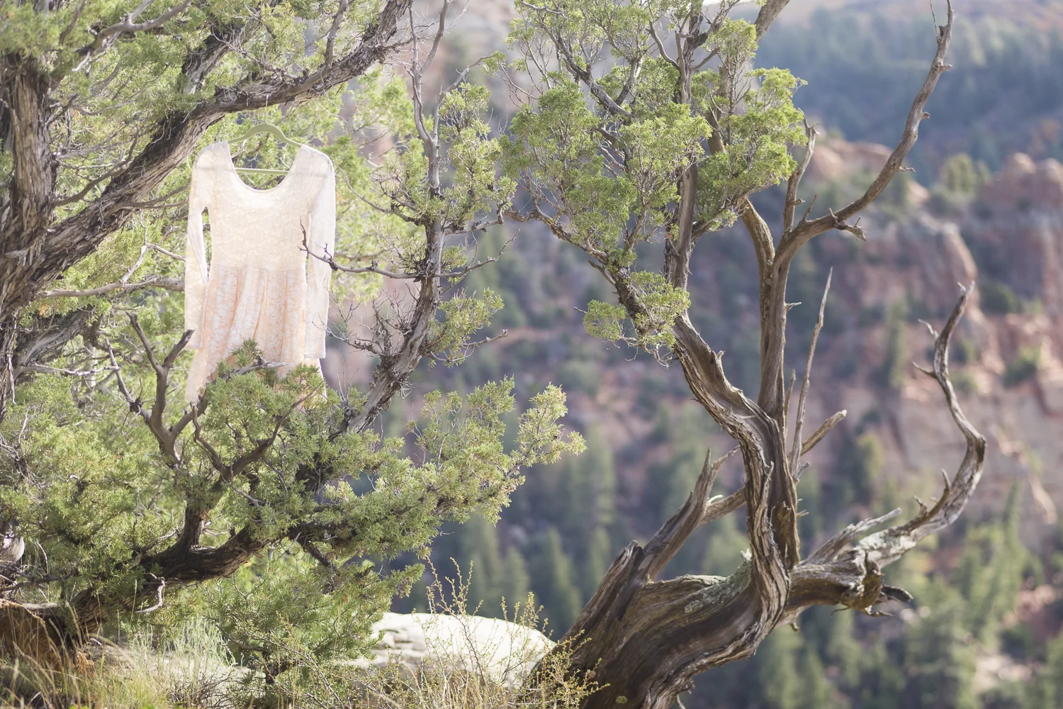 UnaweepCanyon_ColoradoDesert_Elopement-7370.jpg