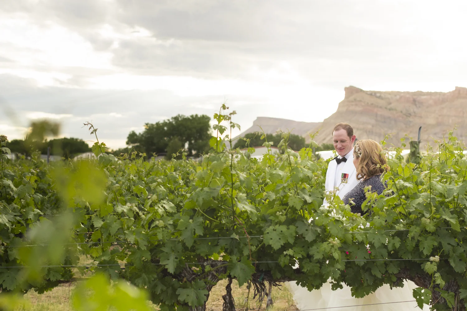 Palisades_ColoradoWinery_NavyWedding-7650.jpg