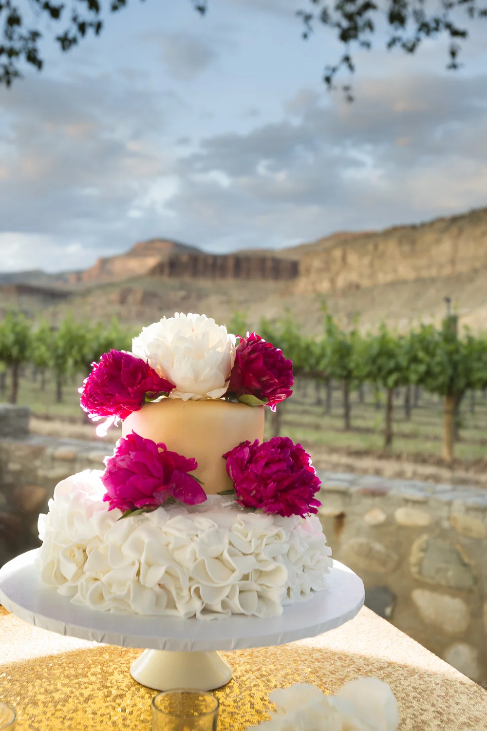 Palisades_ColoradoWinery_NavyWedding-7857.jpg