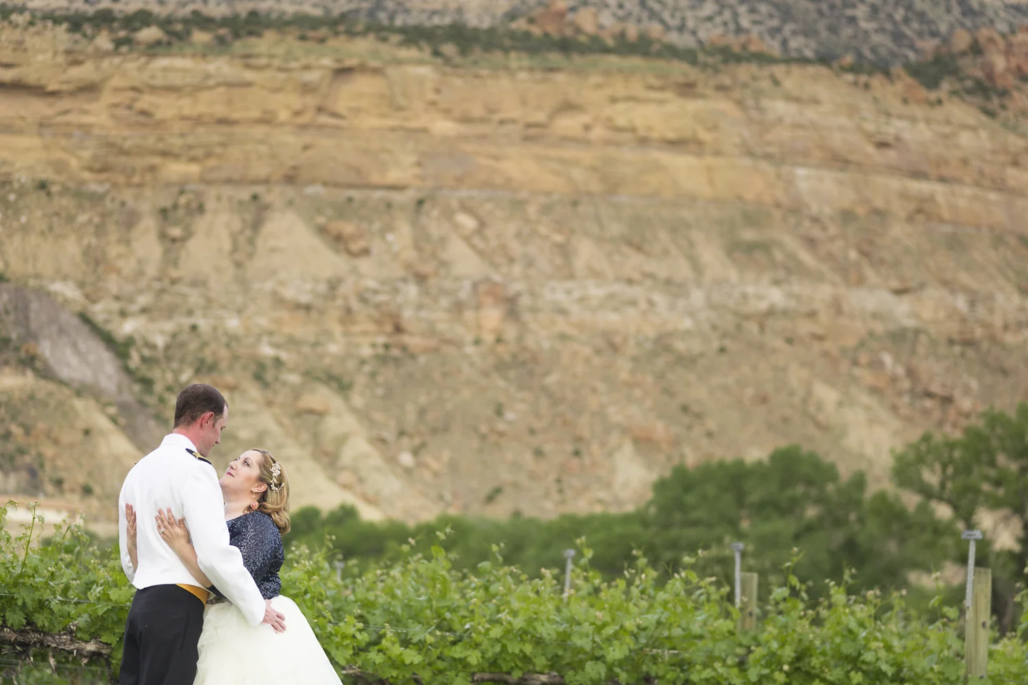 Palisades_ColoradoWinery_NavyWedding-9353.jpg