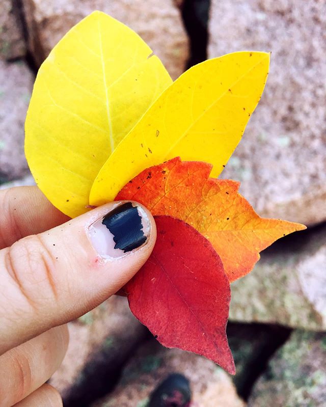 #fallisintheair #coloradocolors #crispautumnair #mostwonderfultimeoftheyear