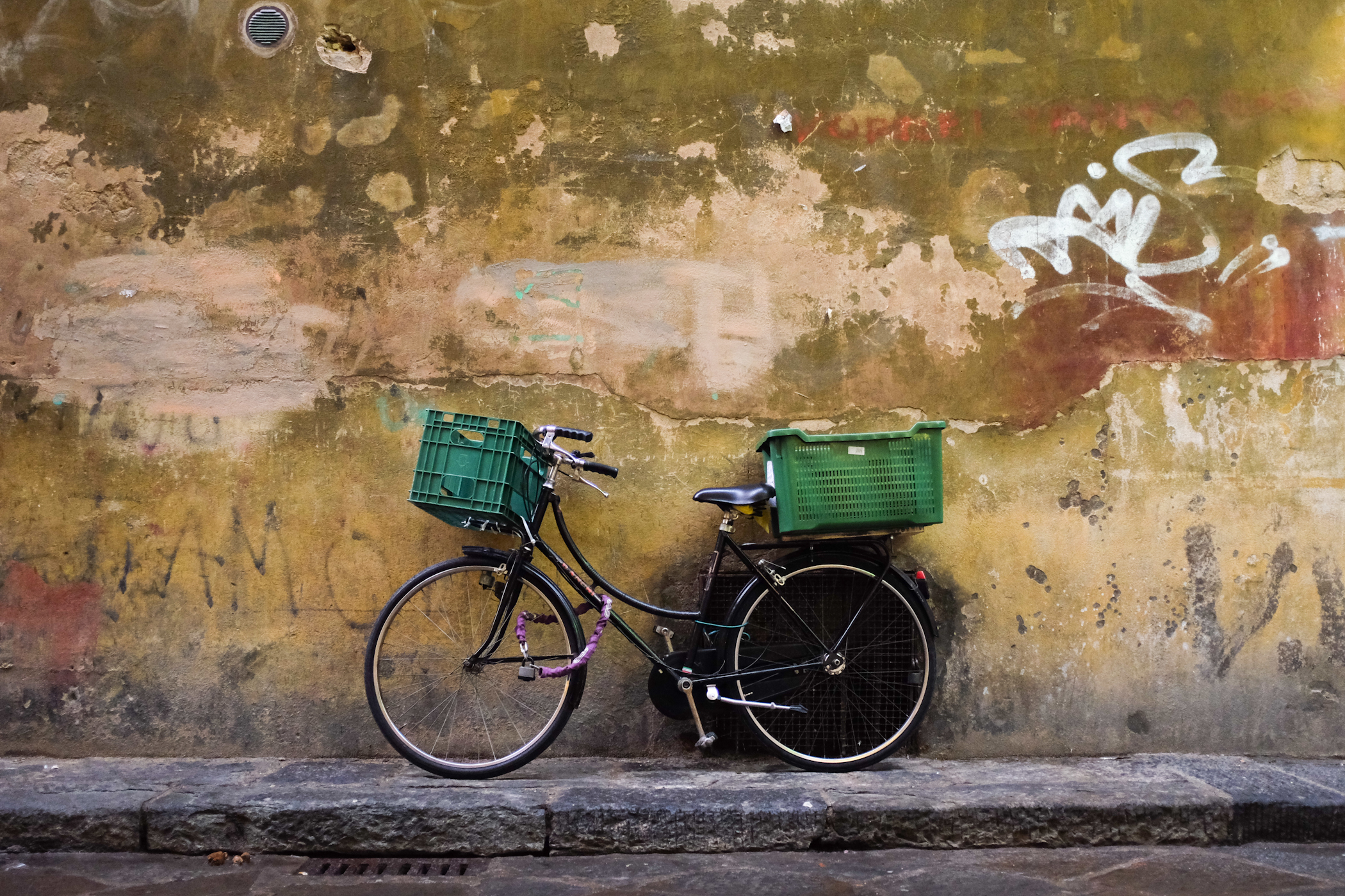 palermo bicicletti di firenze jan15-5.jpg