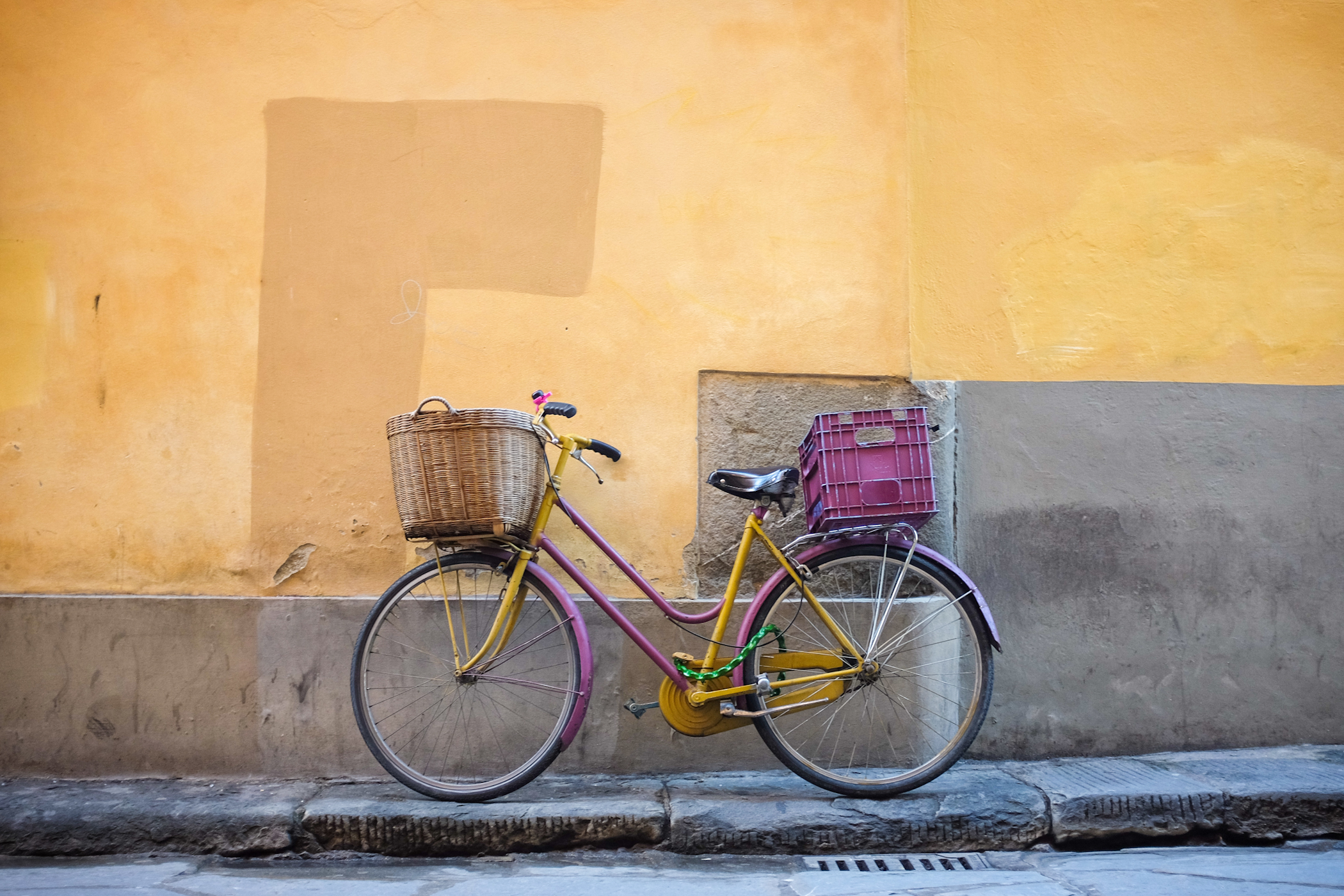 palermo bicicletti di firenze jan15-15.jpg