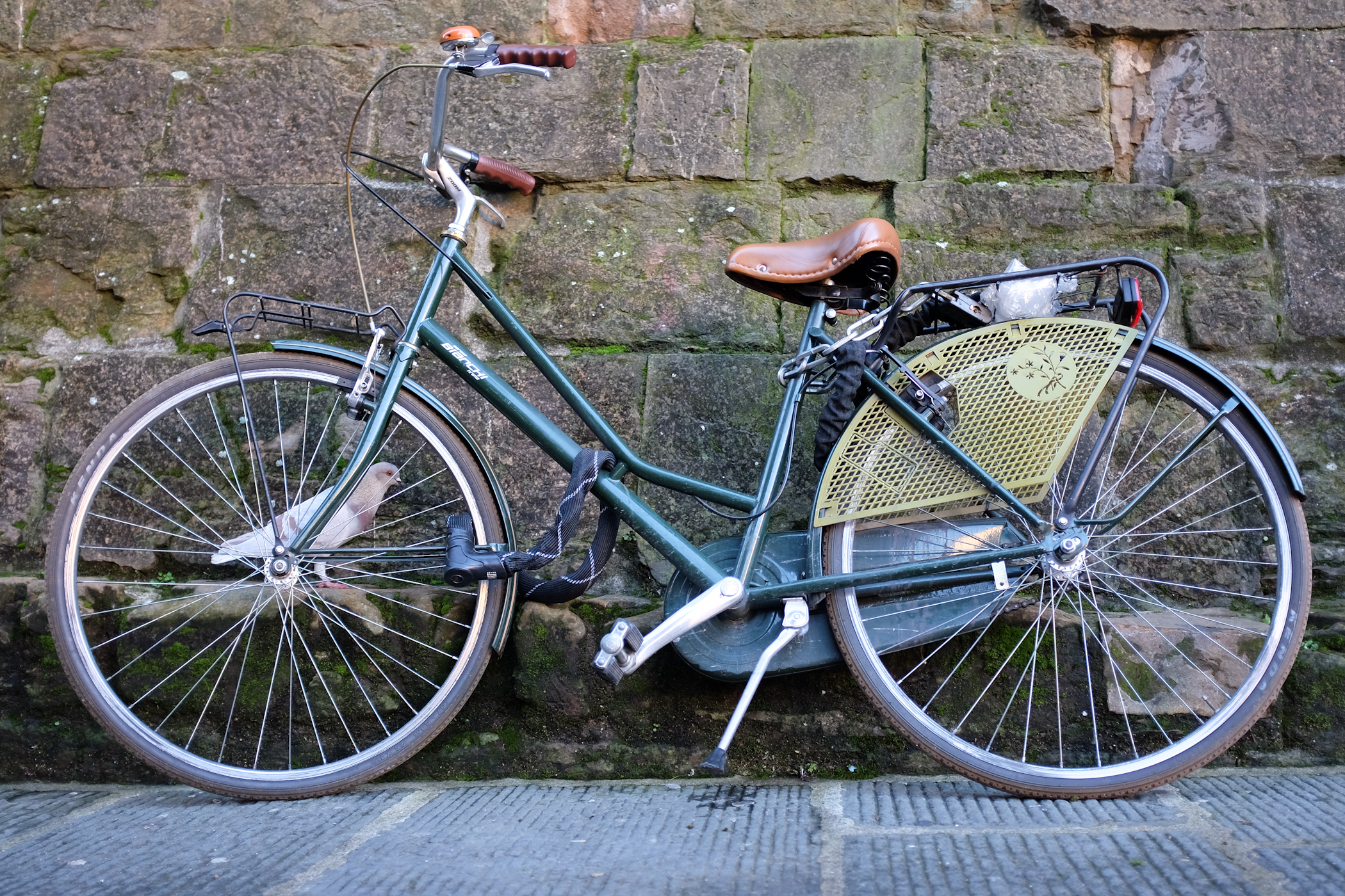 palermo bicicletti di firenze jan15-20.jpg