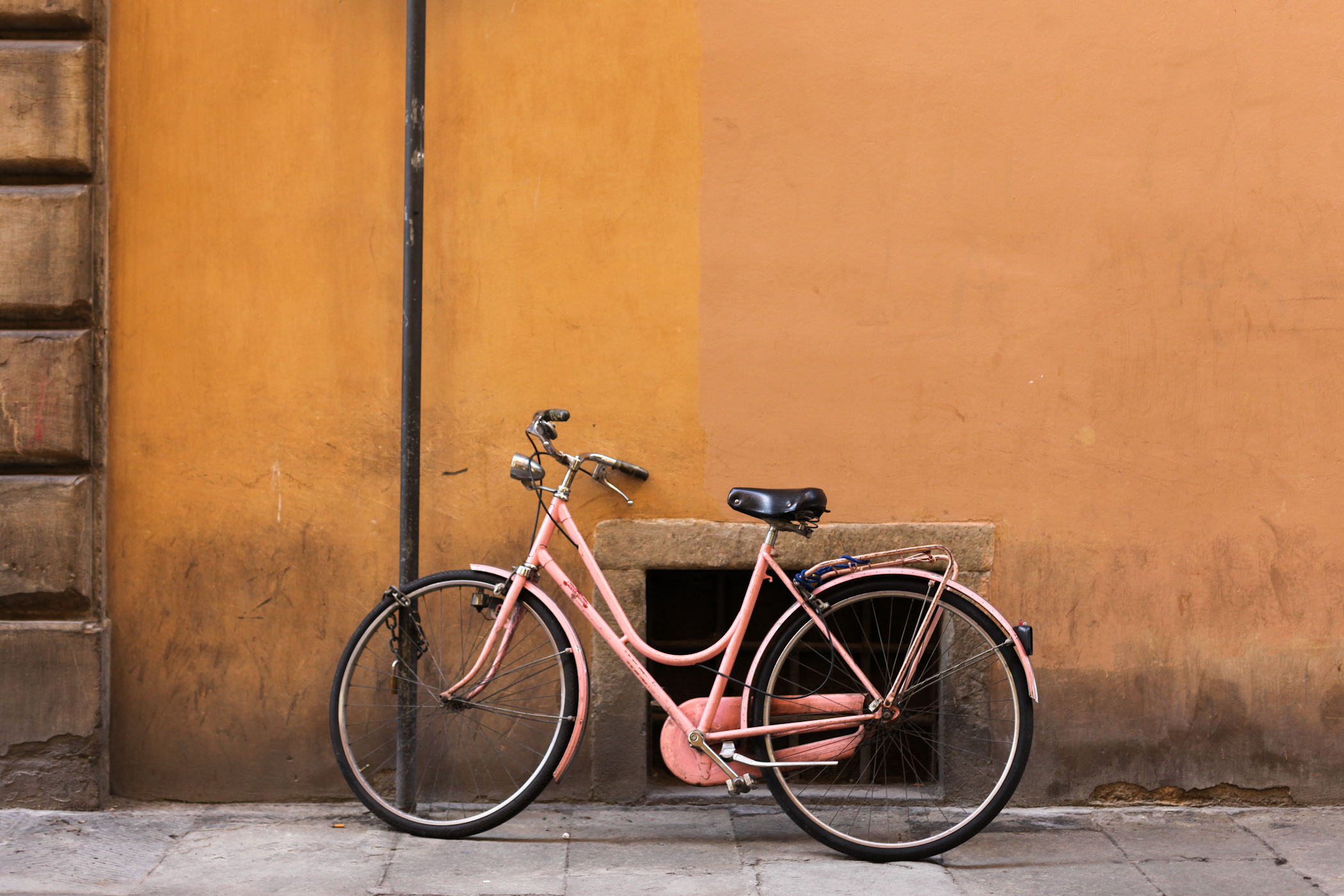 palermo bicicletti di firenze jan15-25.jpg