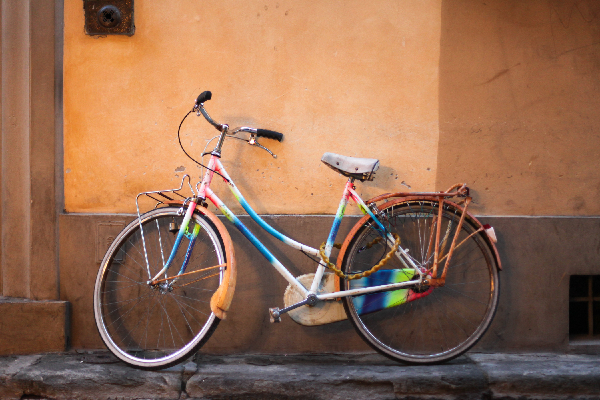 palermo bicicletti di firenze jan15-27.jpg