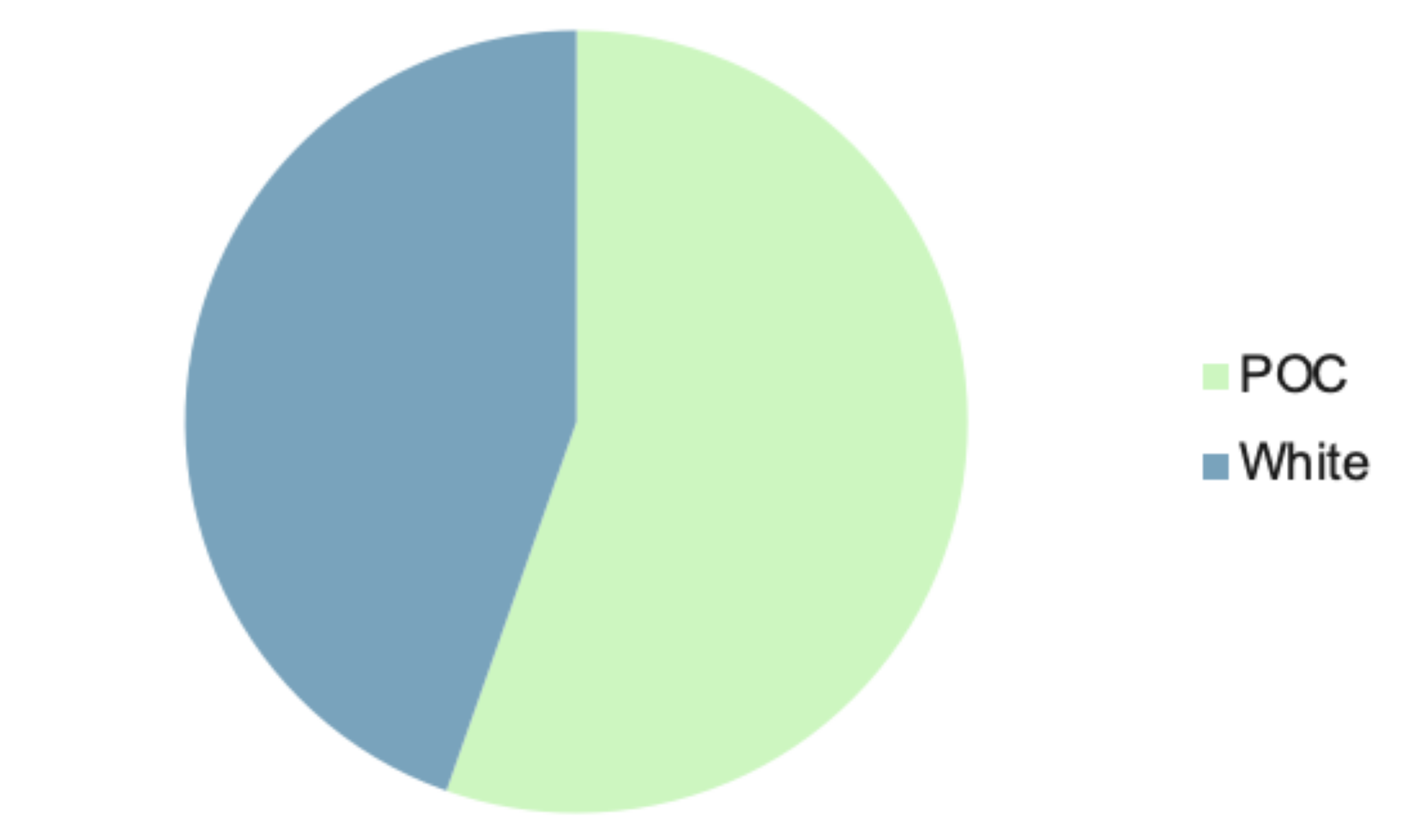 community demographics by race