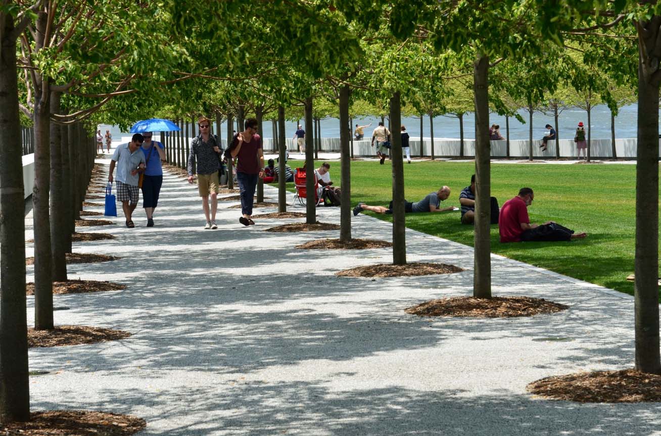 Park visitors enjoying the sun on the lawn and the shade beneath the Littleleaf Lindens.
