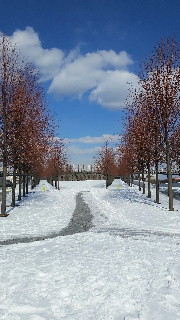 A snowy, but clear day at the Park.