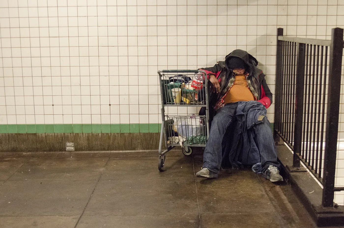 Chesher Cat, "Homeless in New York City"