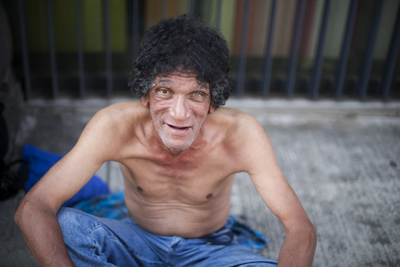 Chesher Cat, "Homeless in New York City"