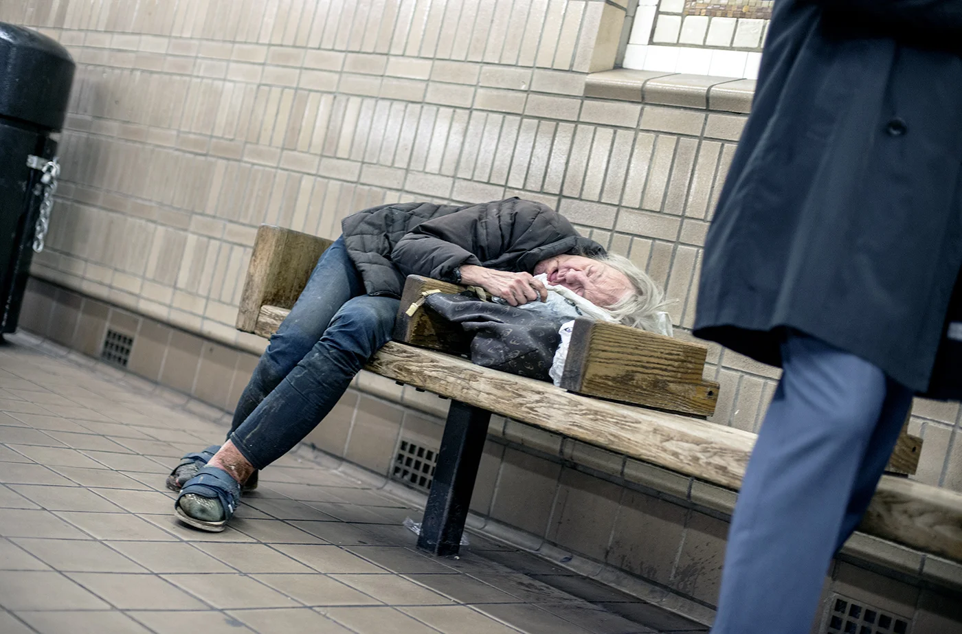 Chesher Cat, "Homeless in New York City"