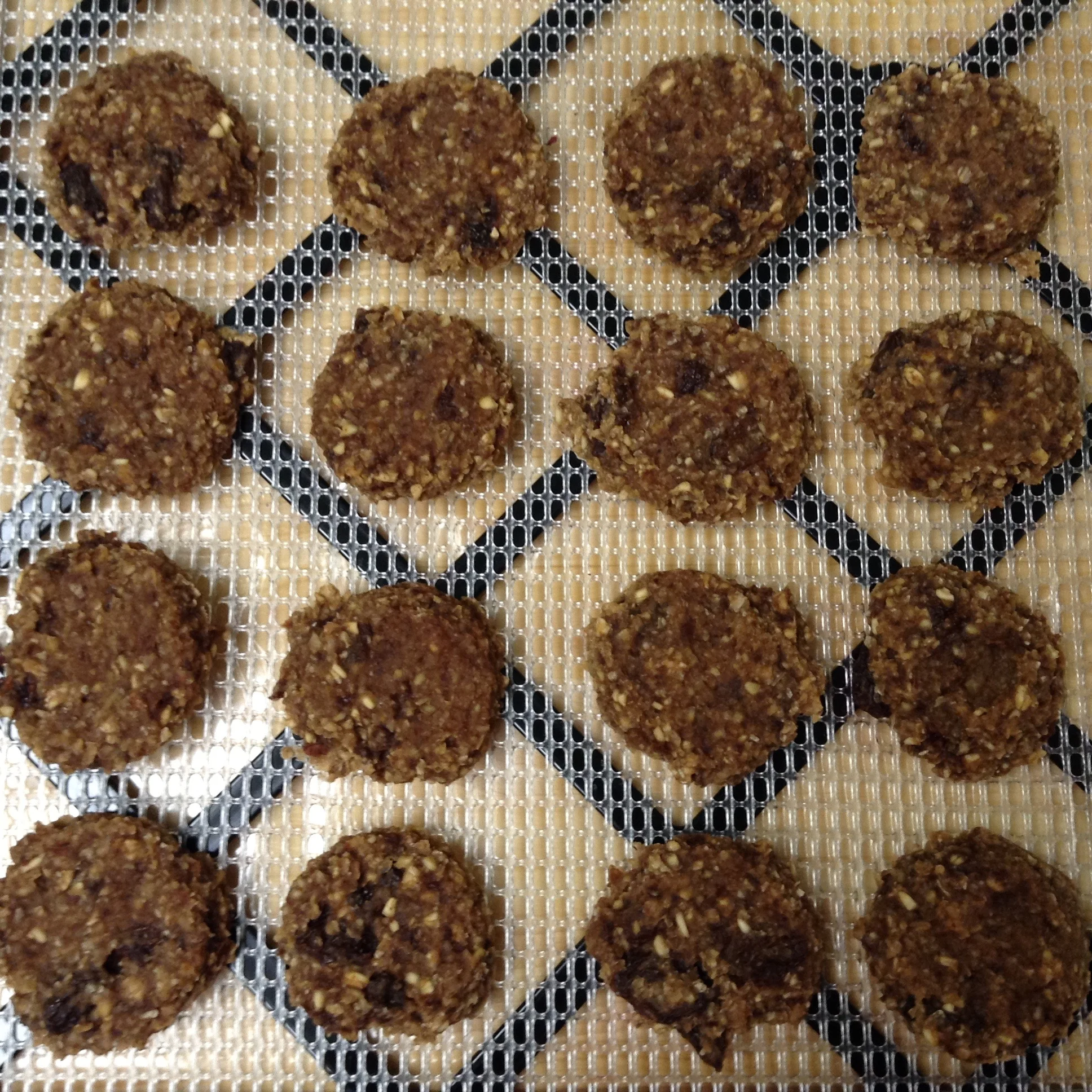 raw, soaked and dehydrated oatmeal raisin cookies