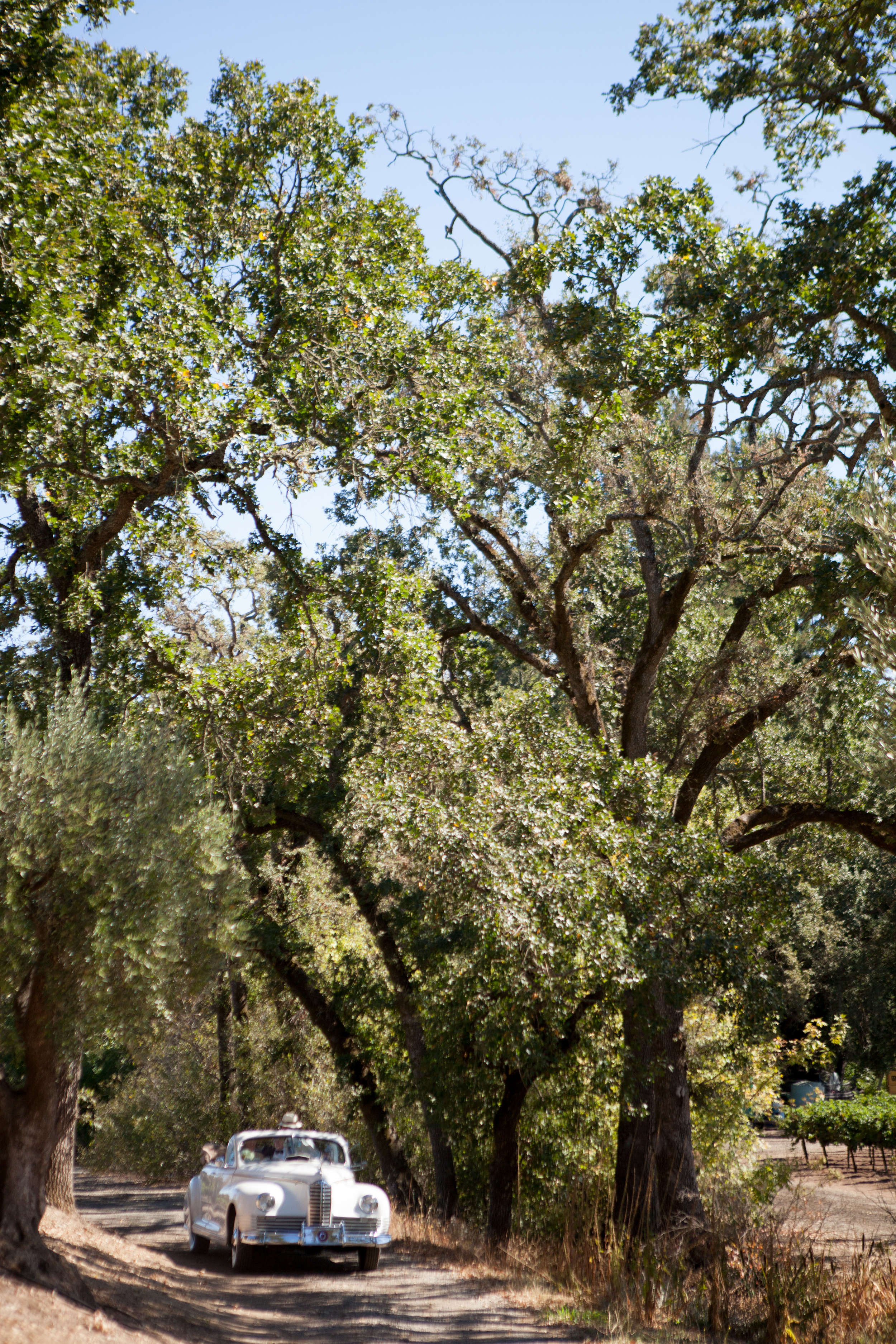 Ashleigh and Jonathan (247 of 1093).jpg