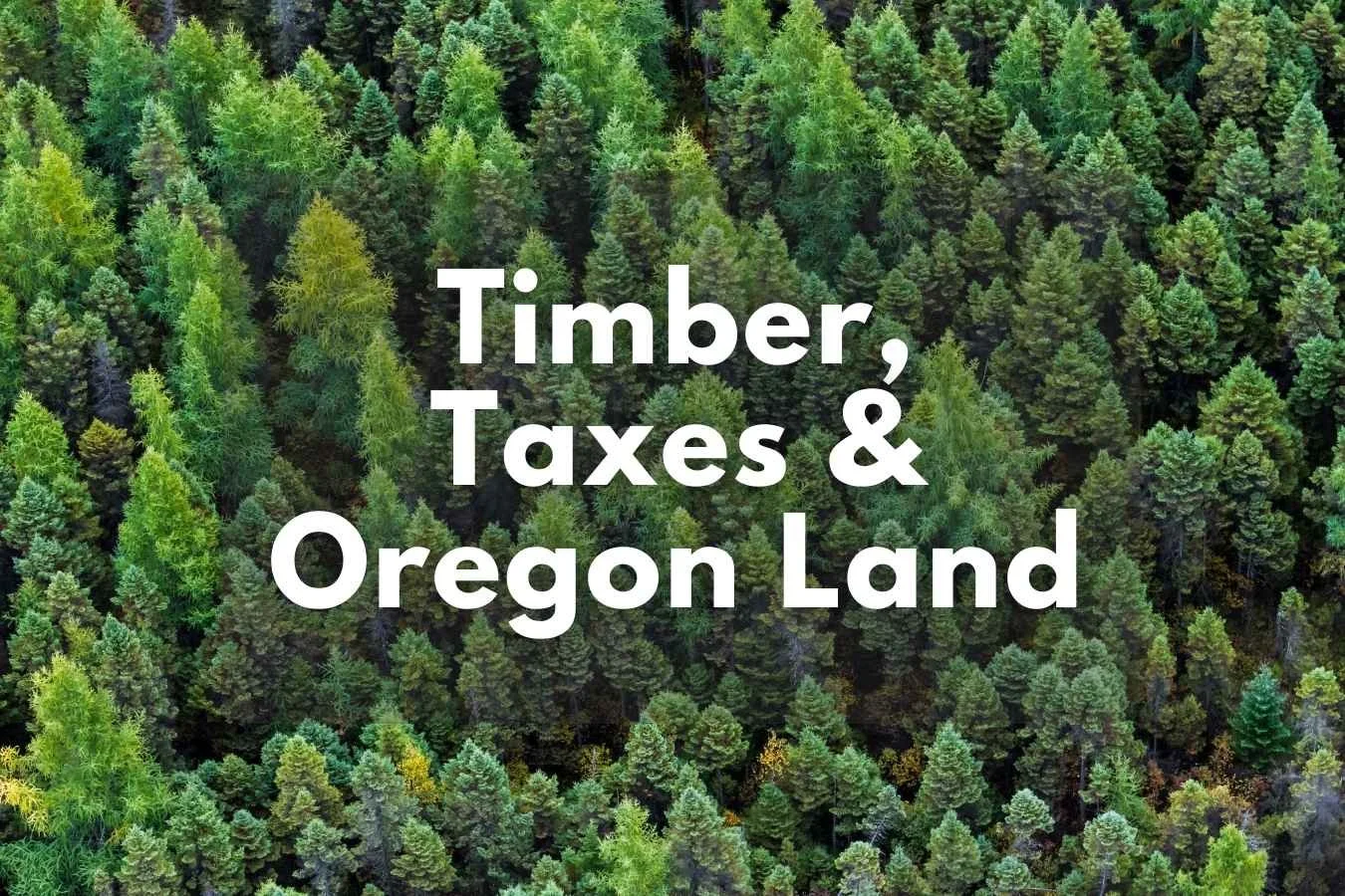 Timber Rats Oregon What Is Timber Deferral in Oregon? A Guide for Land Buyers