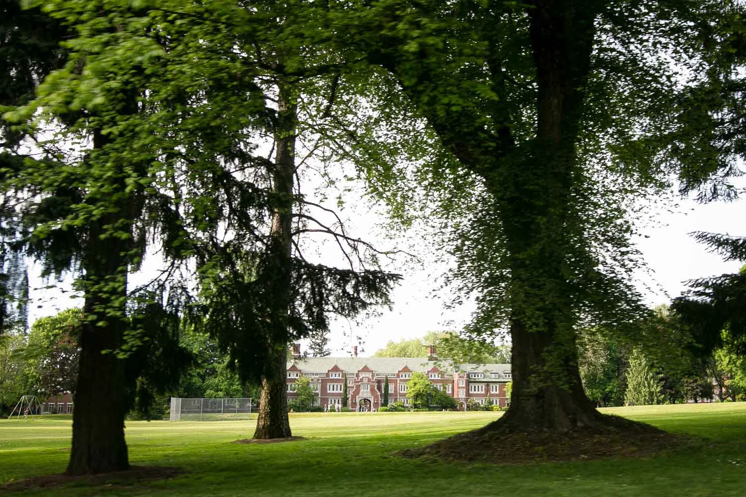 Realtor Portland, OR — Reed Homes For Sale Reed City Homes For Sale