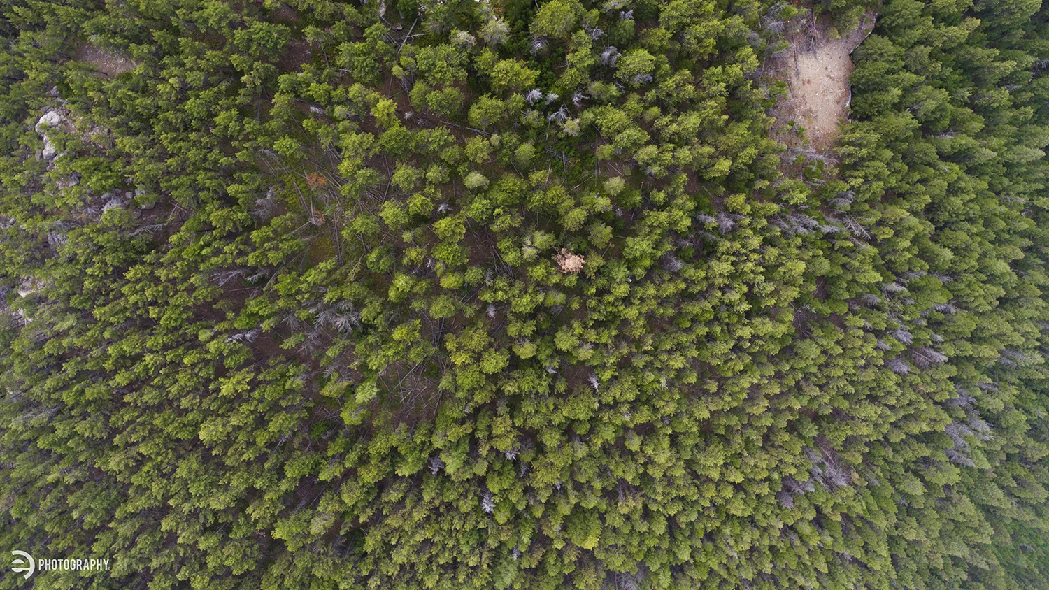 Bighorn National Forest from above.