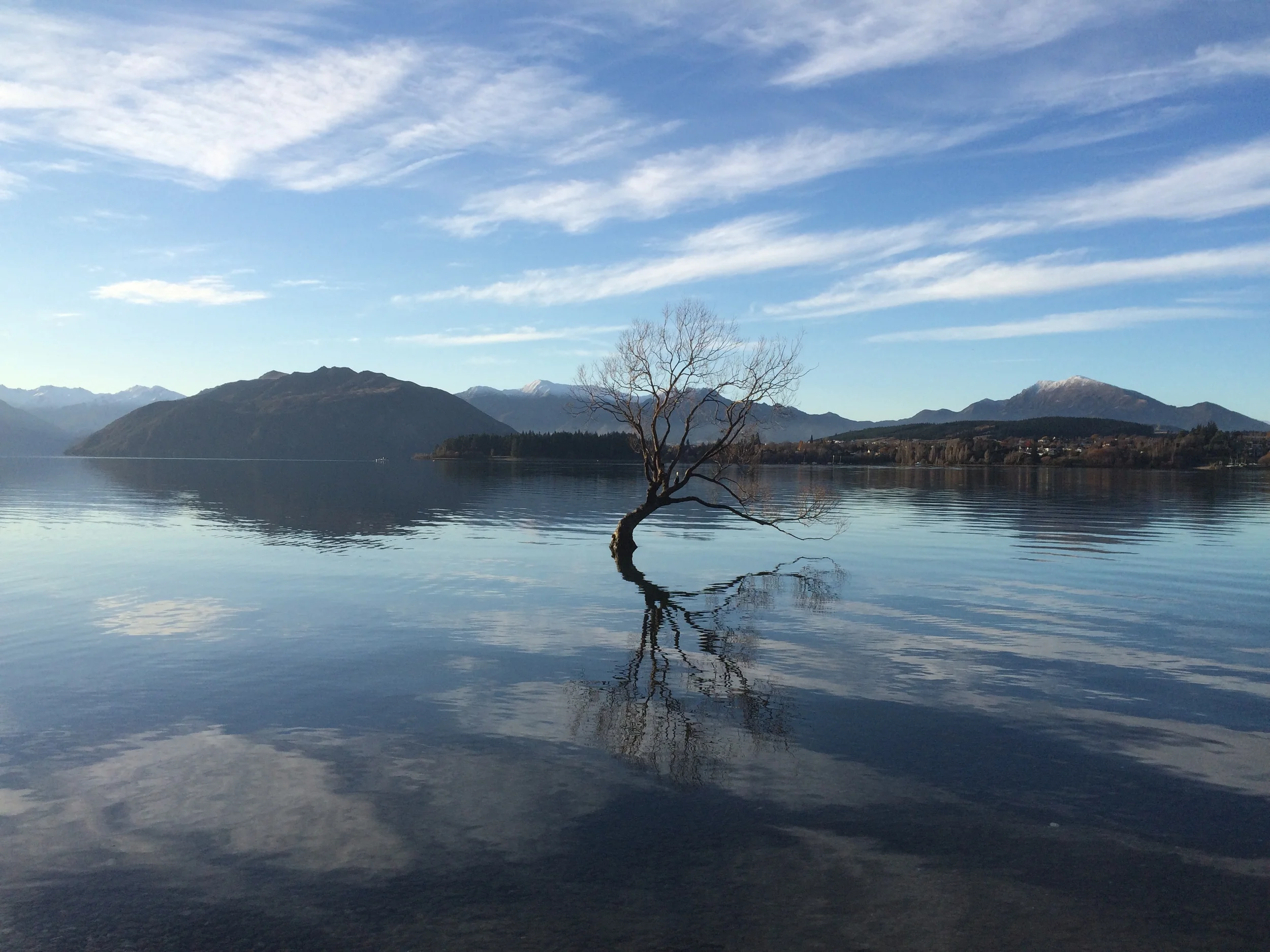 What is a Fixed Term Tenancy?