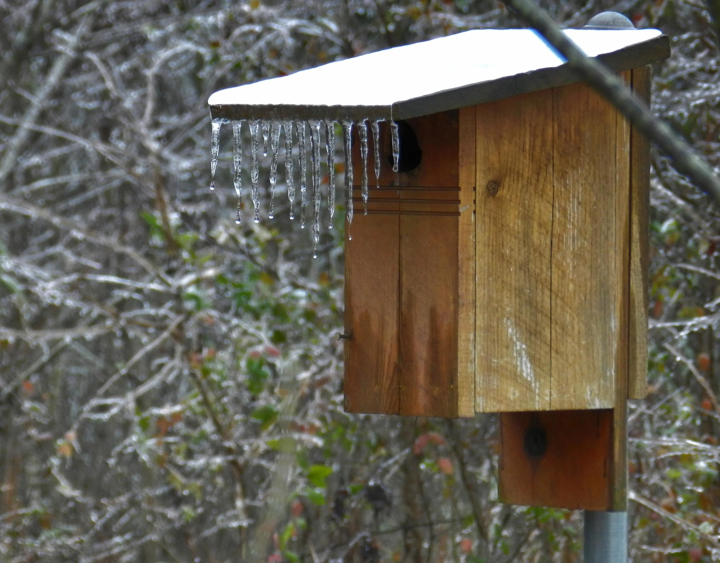 Proposed Tenancy Changes I – Insulation