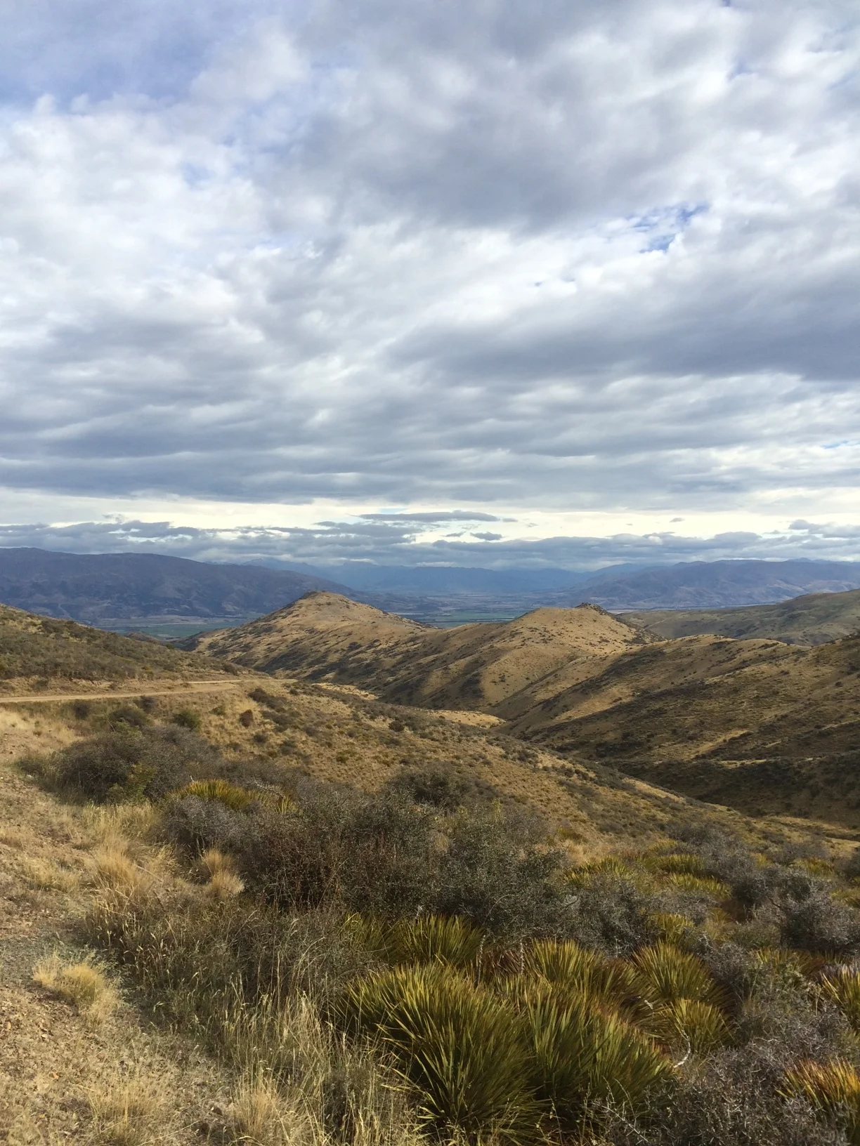 Wanaka Seasonal Rentals