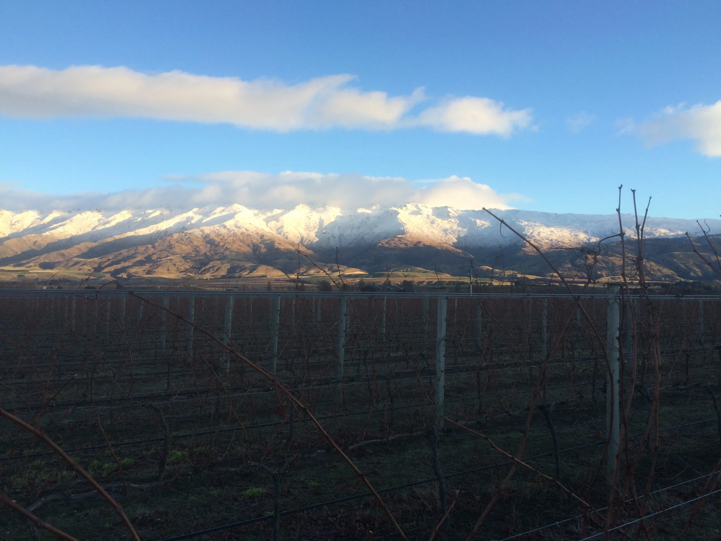 Wanaka Winter Rentals