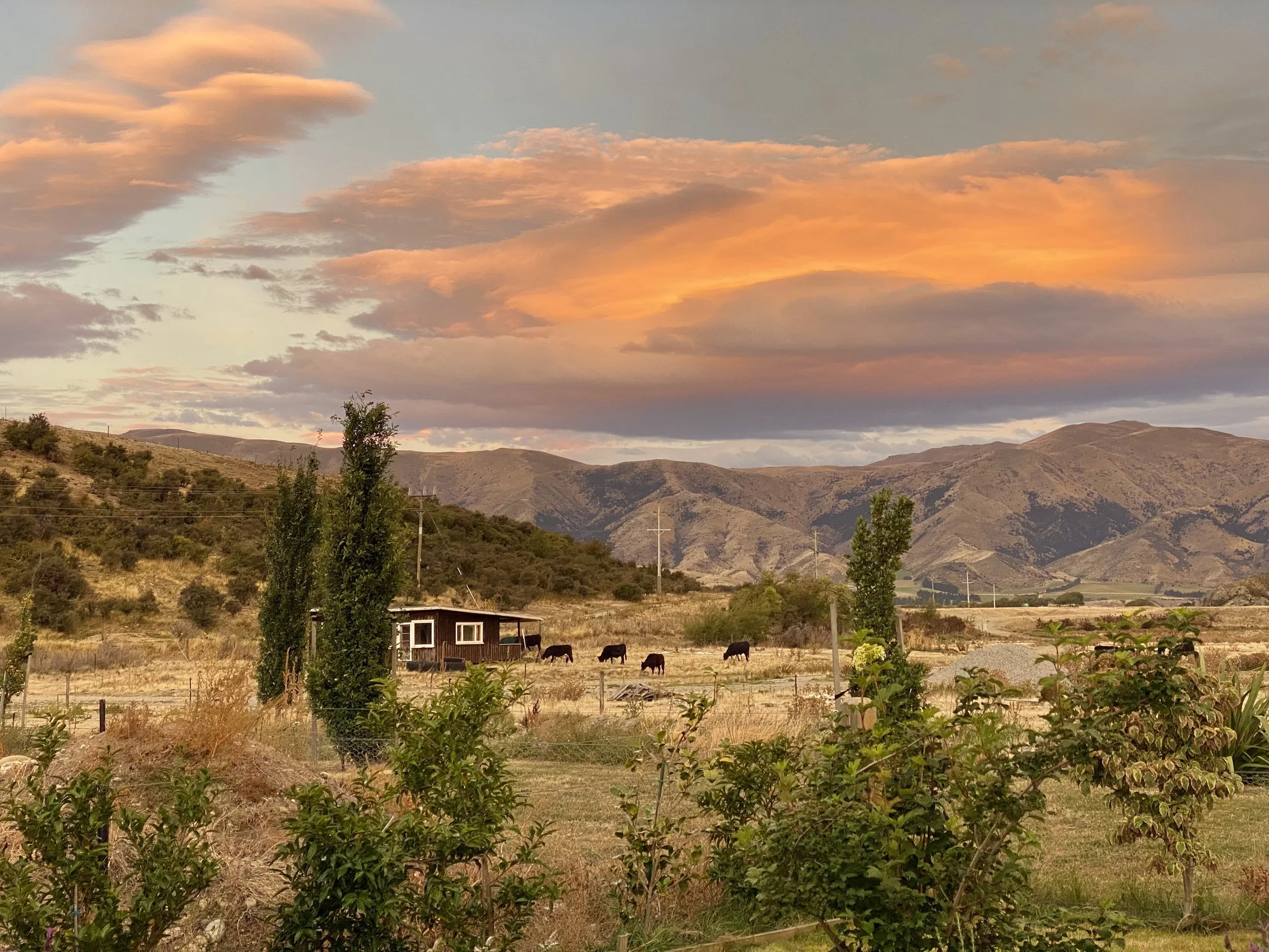 Wanaka Rental Home