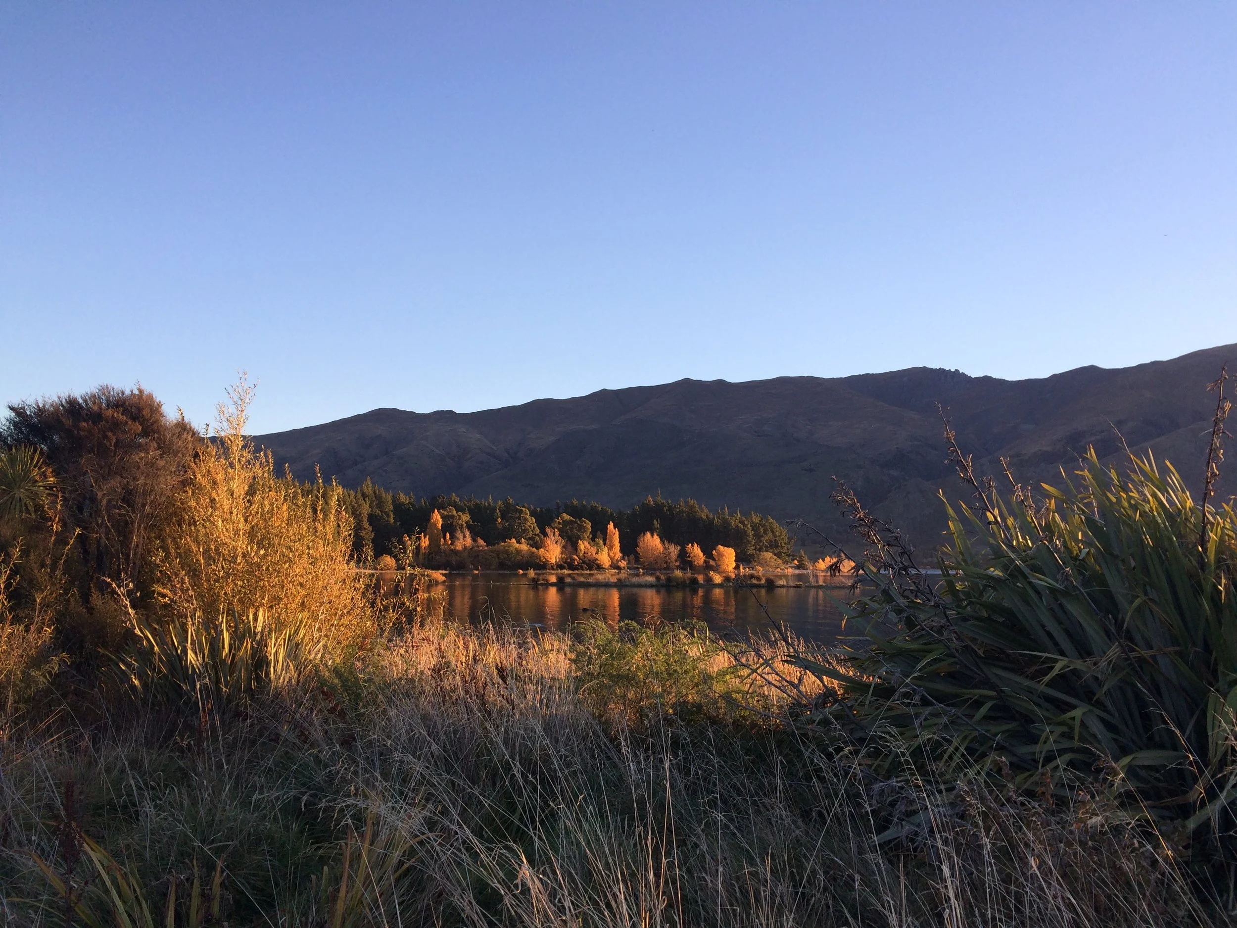 Summer 2026 Wanaka Rental Property Update