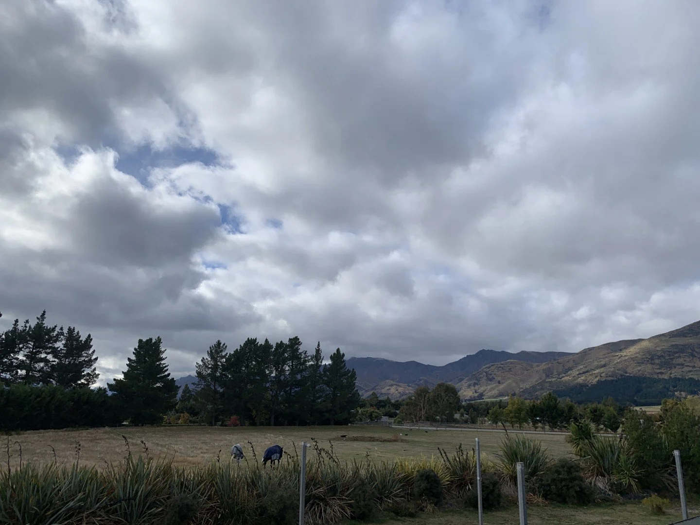 Wanaka Rental Home