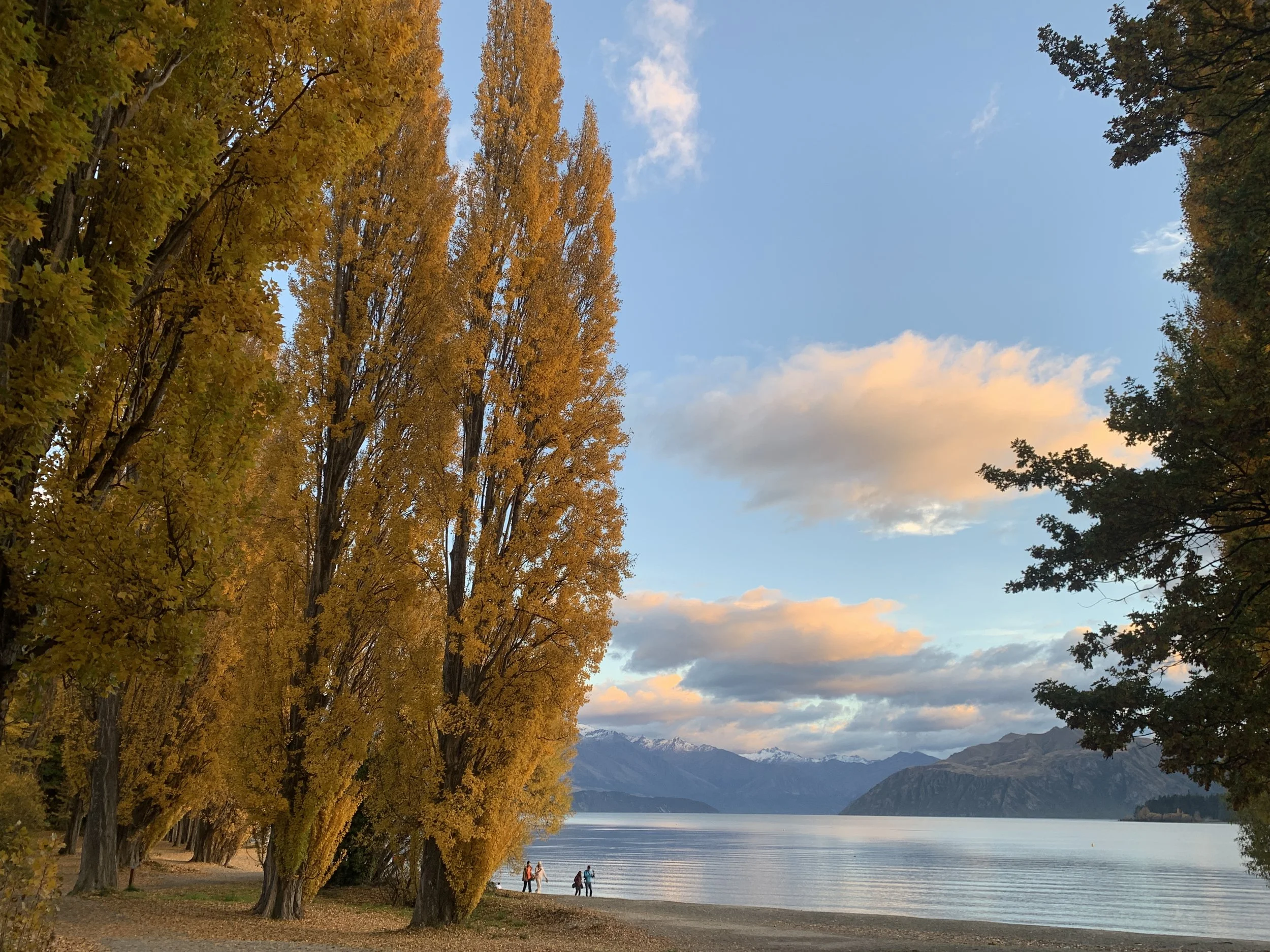 Autumn 2026 Wanaka Rental Property Market