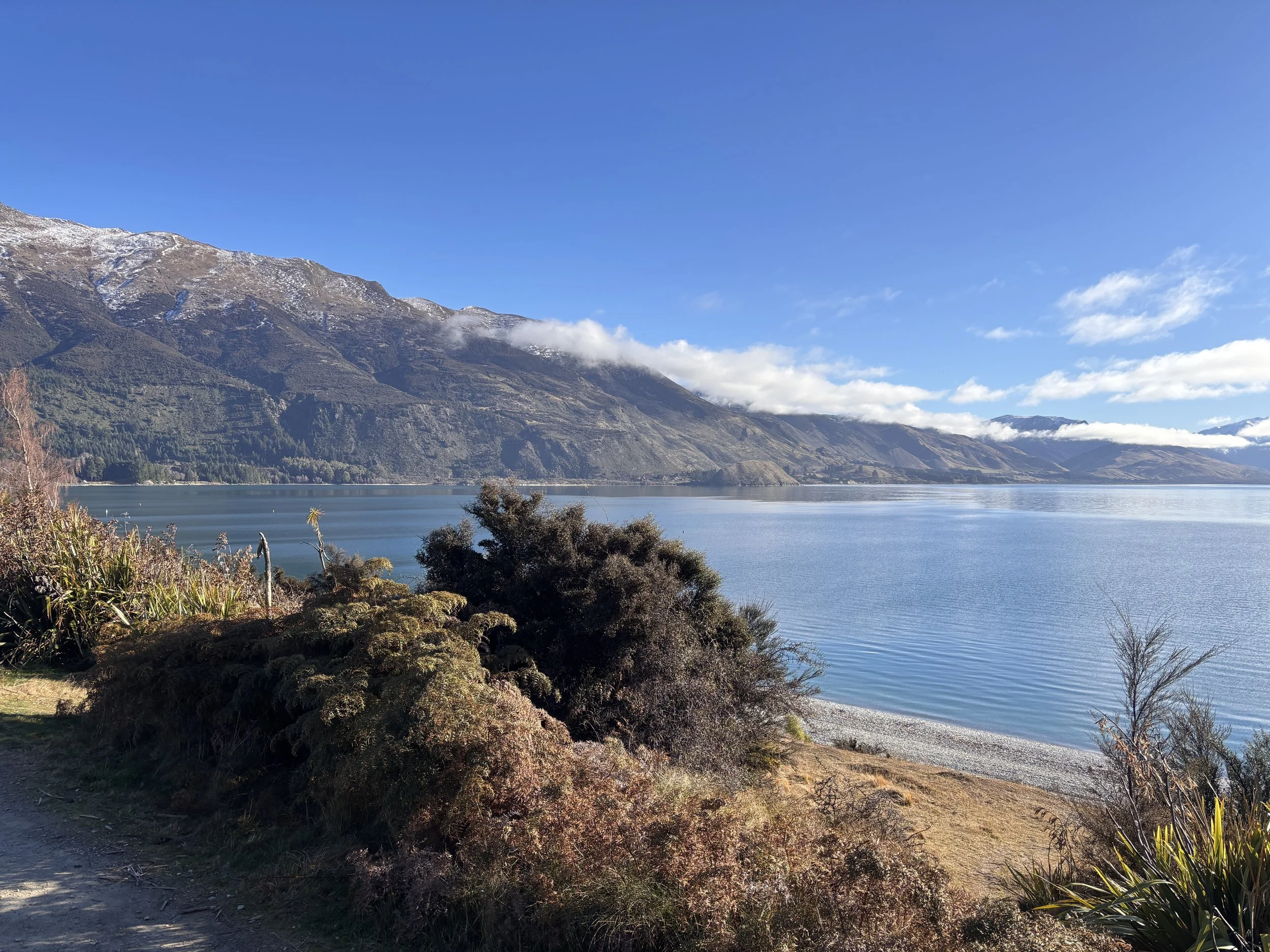 Lake Hawea Rental Market Update: A 4-Year Comparison of 3 &amp; 4 Bed Homes (2023–2026)