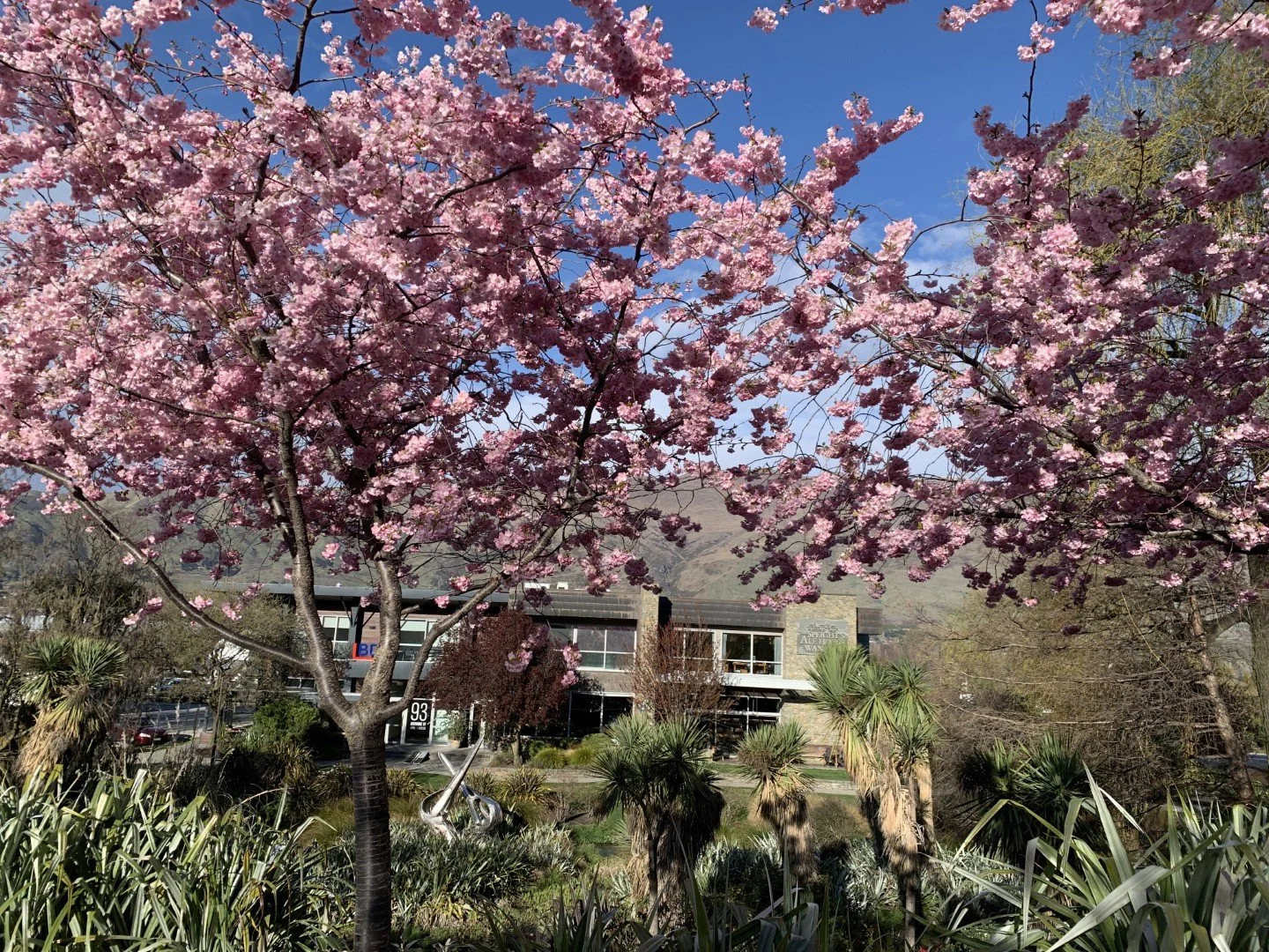 Spring 2026 - Rental Market Update