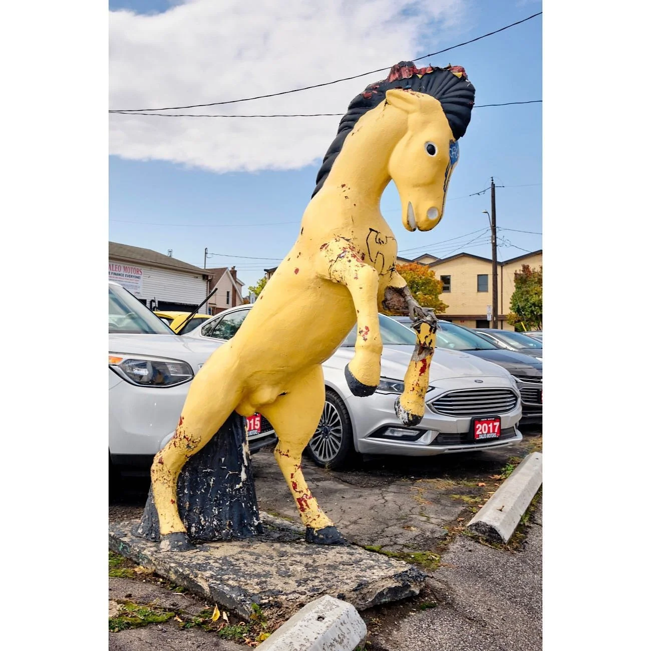 In Hamilton, is it any surprise that there's a yellow stallion perpetually rearing over the sidewalk on Barton Street East? Or that this horse was tough to capture...in a photograph, at least? The light was always behind it when I went by and the use