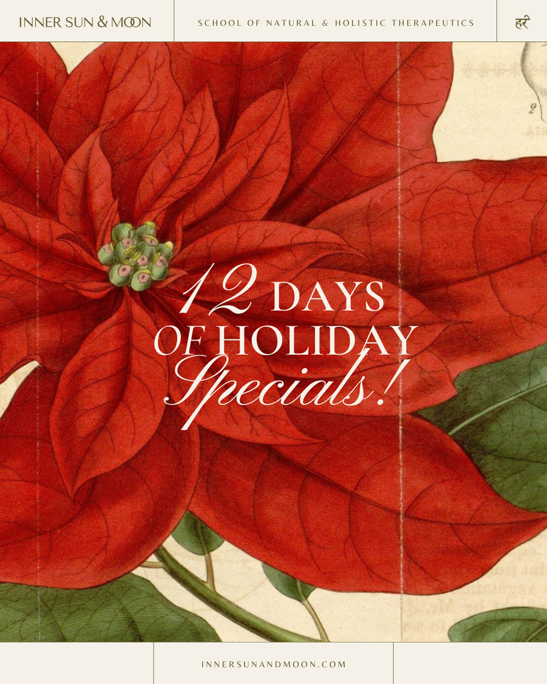 12 Days of Holiday Specials!