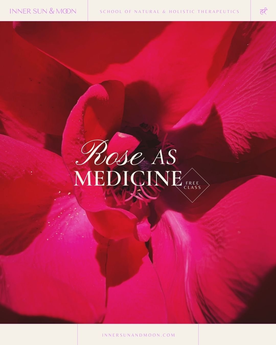 ROSE AS MEDICINE ✨Free✨ mini-class