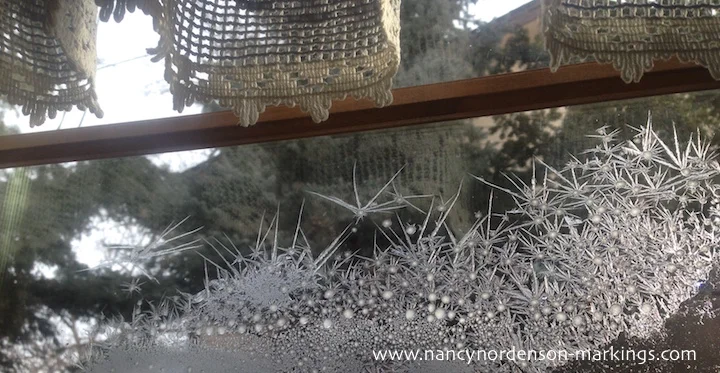 Icy Window.jpg