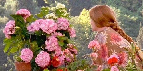 A midwinter Enchanted April.jpg