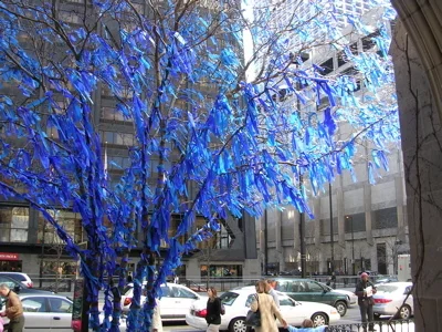 Blue Beauty.jpg