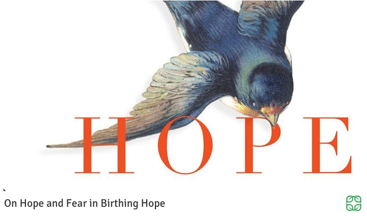 759. On Birthing Hope in Birthing Hope.jpg