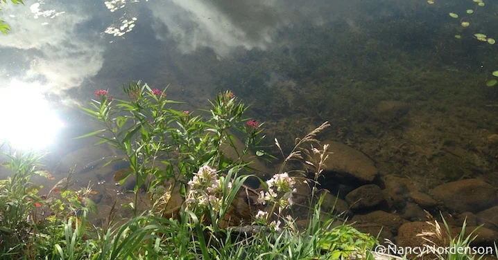 2019-08-17LakeSagatagan.jpg
